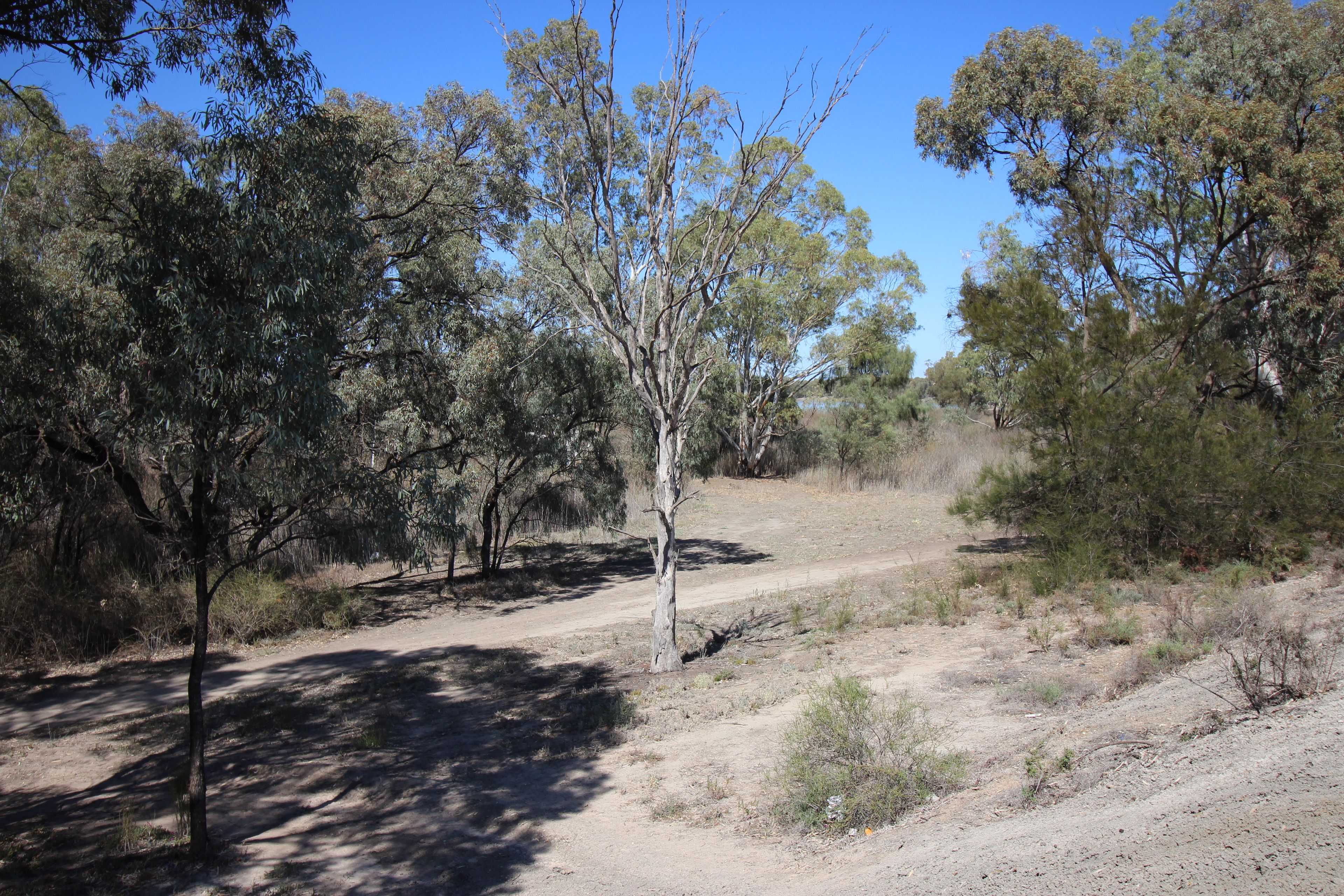 4A Nineteenth Street, Renmark, SA 5341