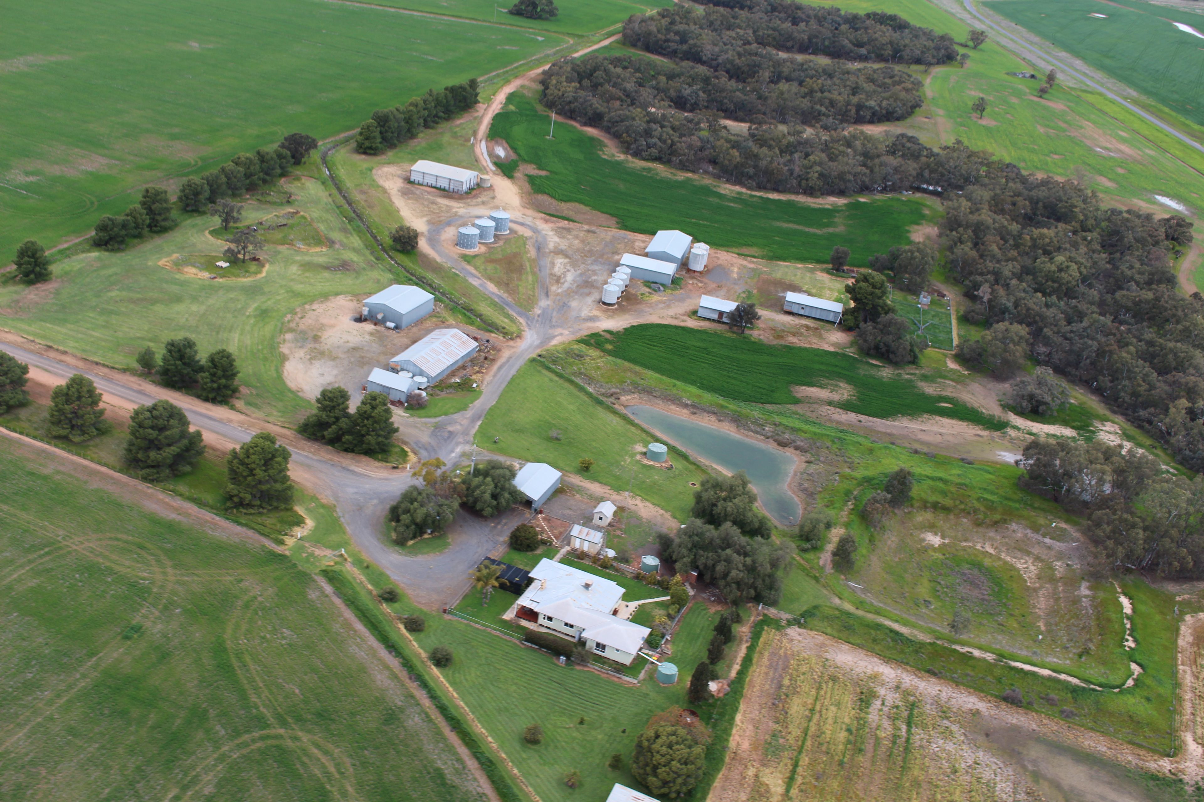 258 Cemetery Road, Quambatook, VIC 3540 Rural Cropping Property for