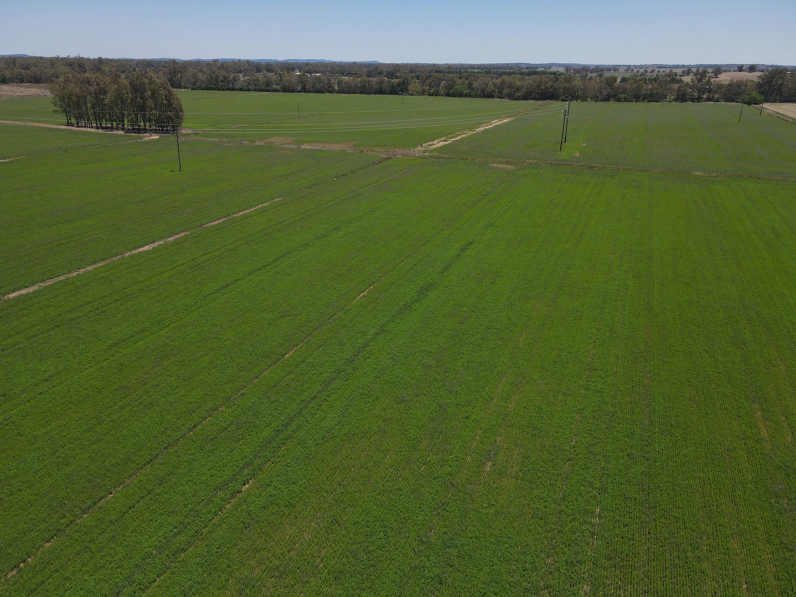 160 Lachlan Valley Way, Forbes, NSW 2871
