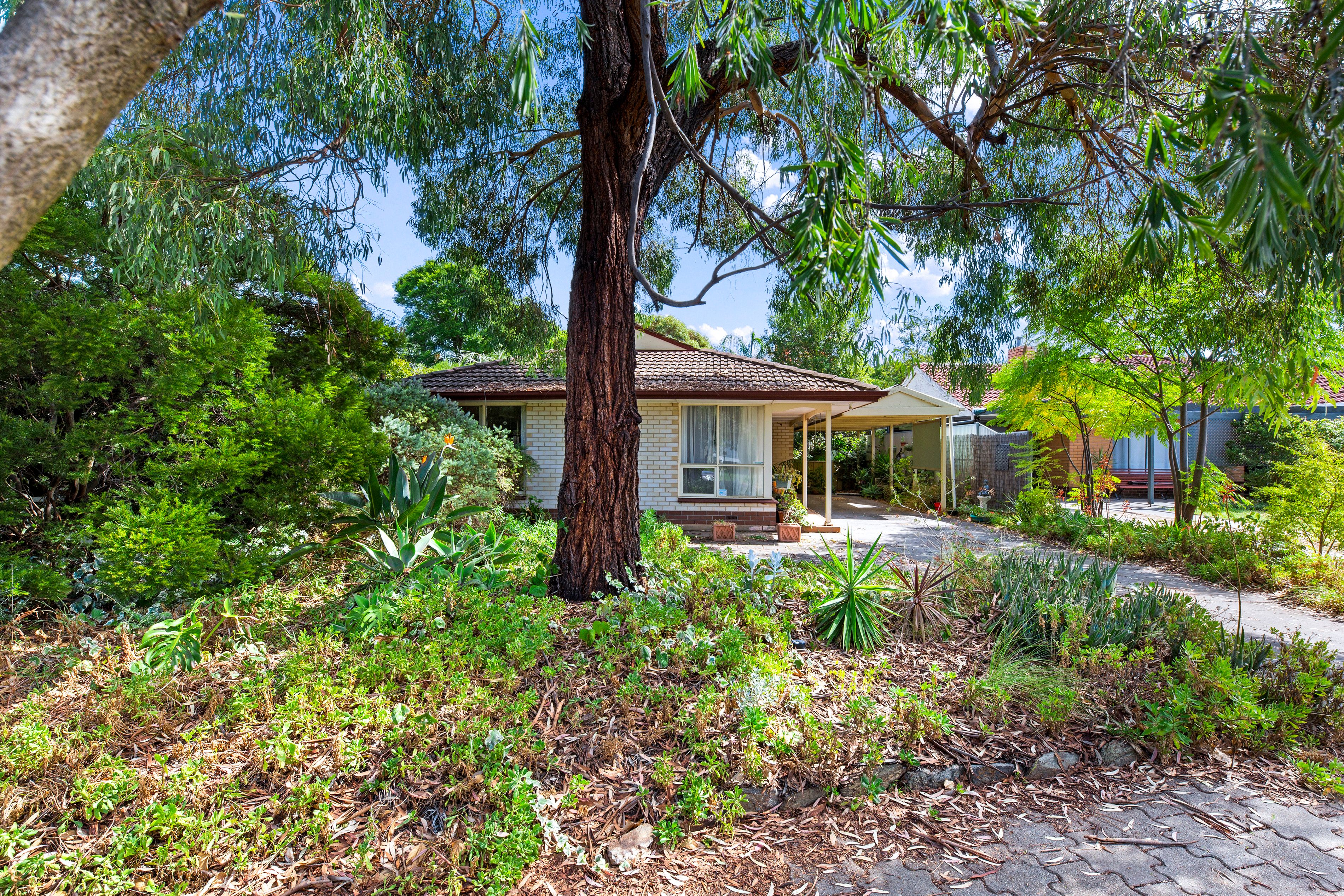 5 Ridgefield Avenue, Dernancourt, SA 5075