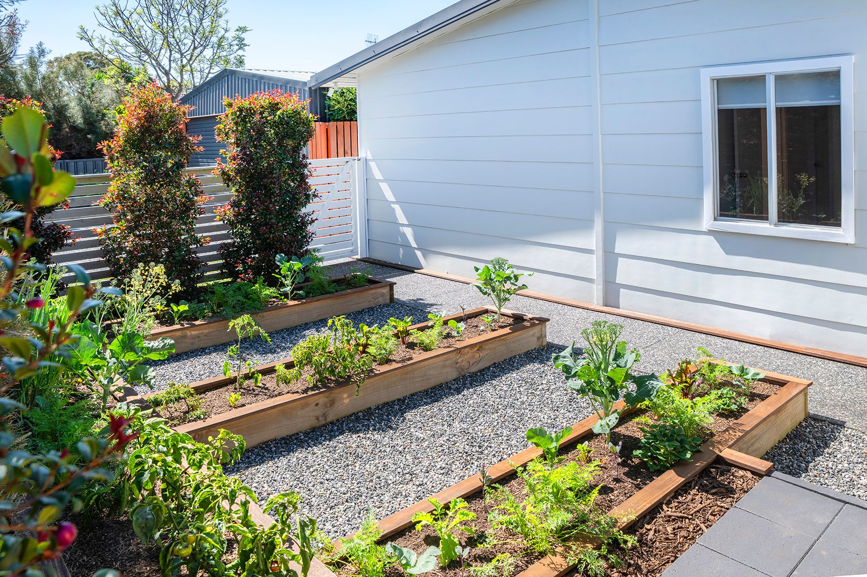 15 Jacaranda Crescent — photo 13 of 19