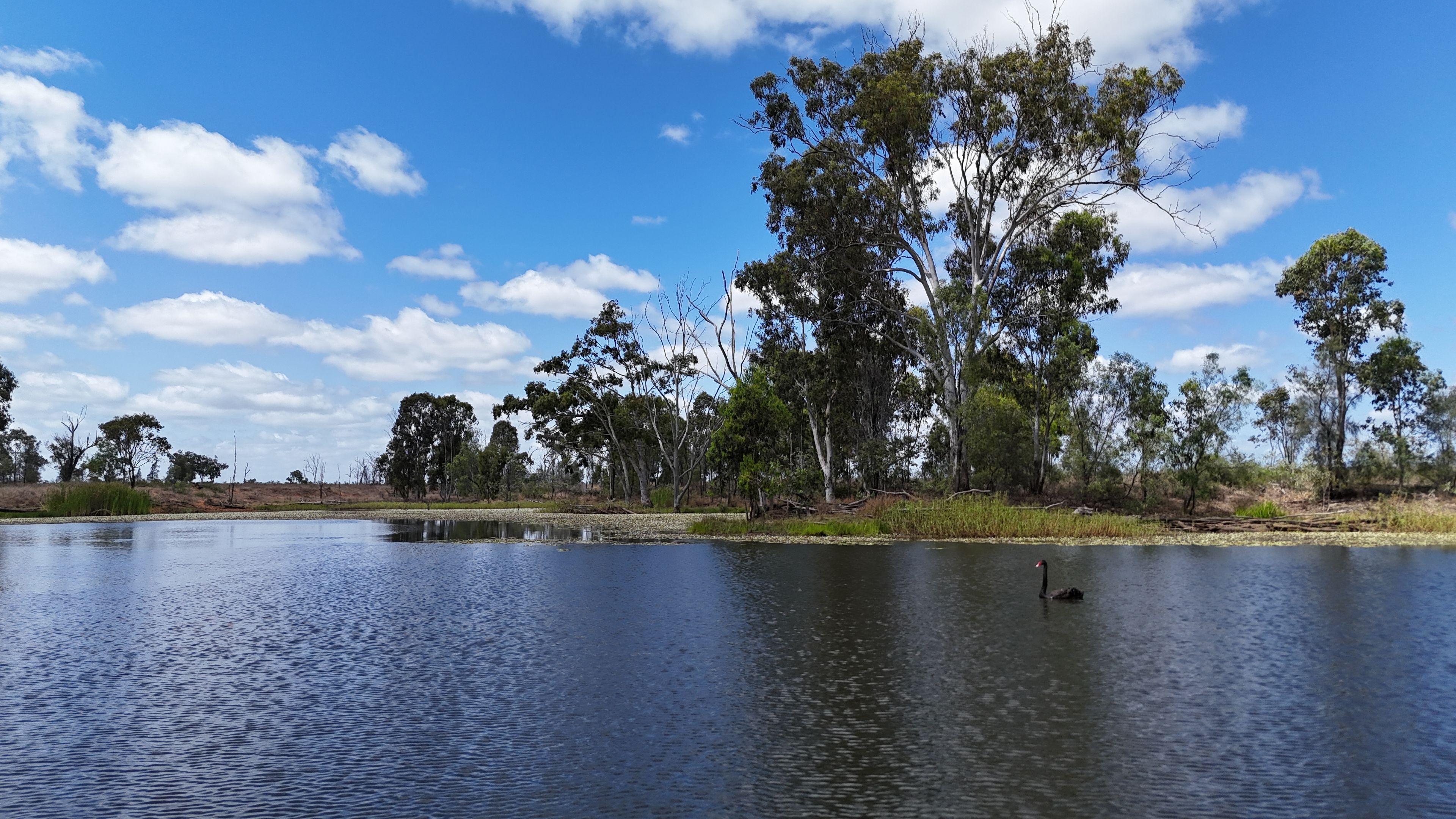 781 Spring Creek Road , Coppabella QLD 4741