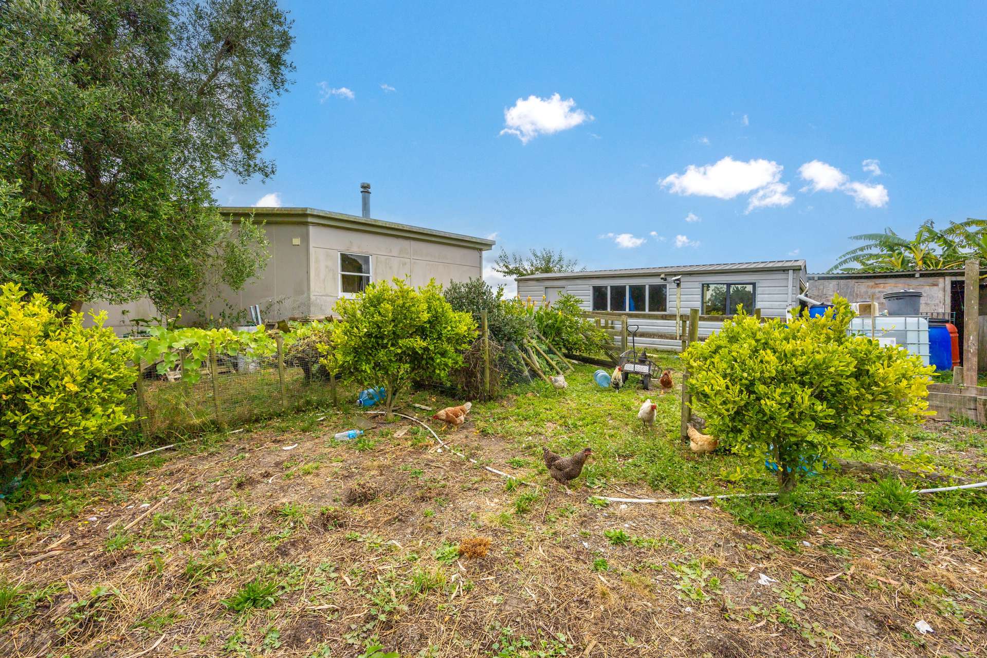 648 West Coast Road photo 17