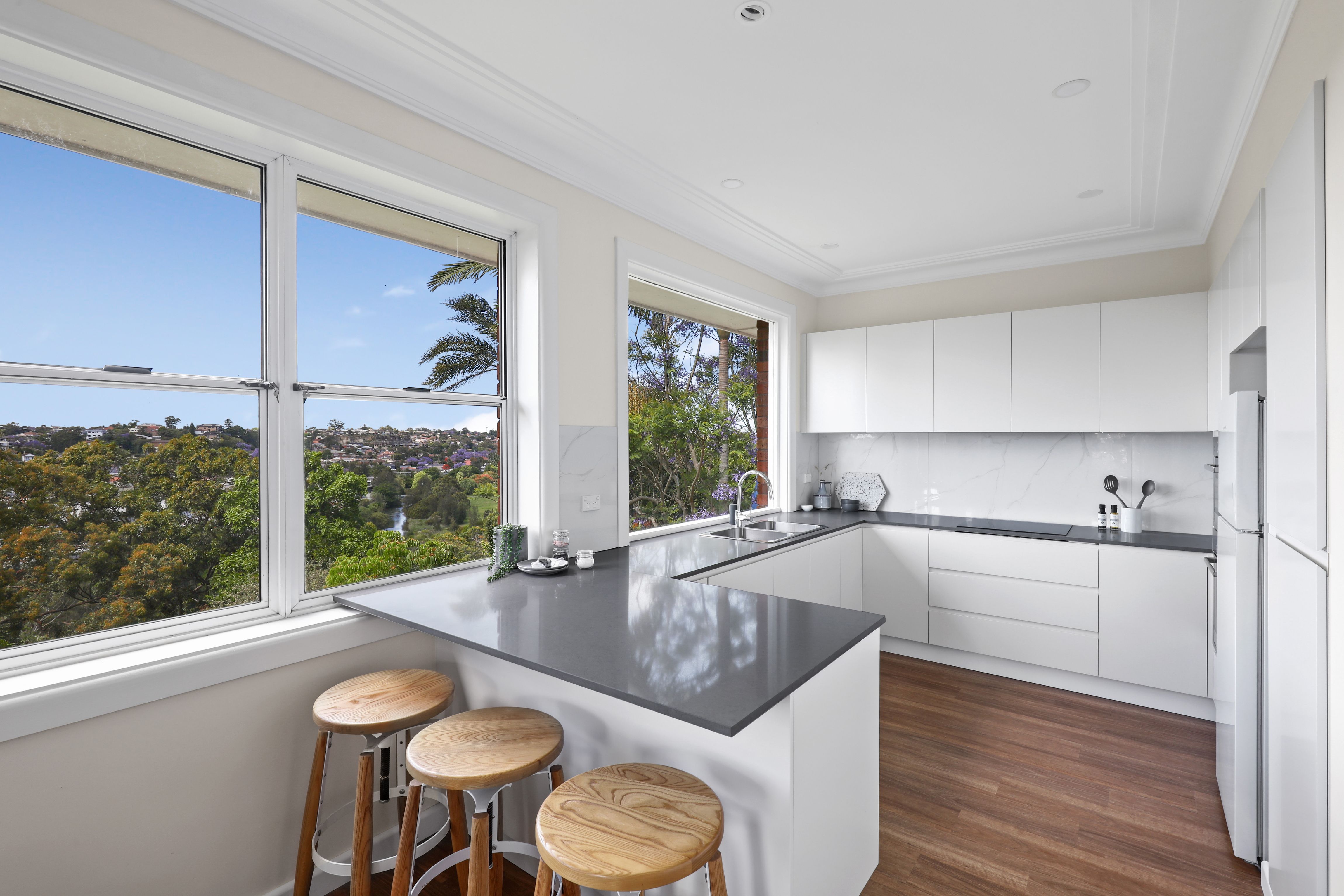 17 David Street, Earlwood, NSW 2206