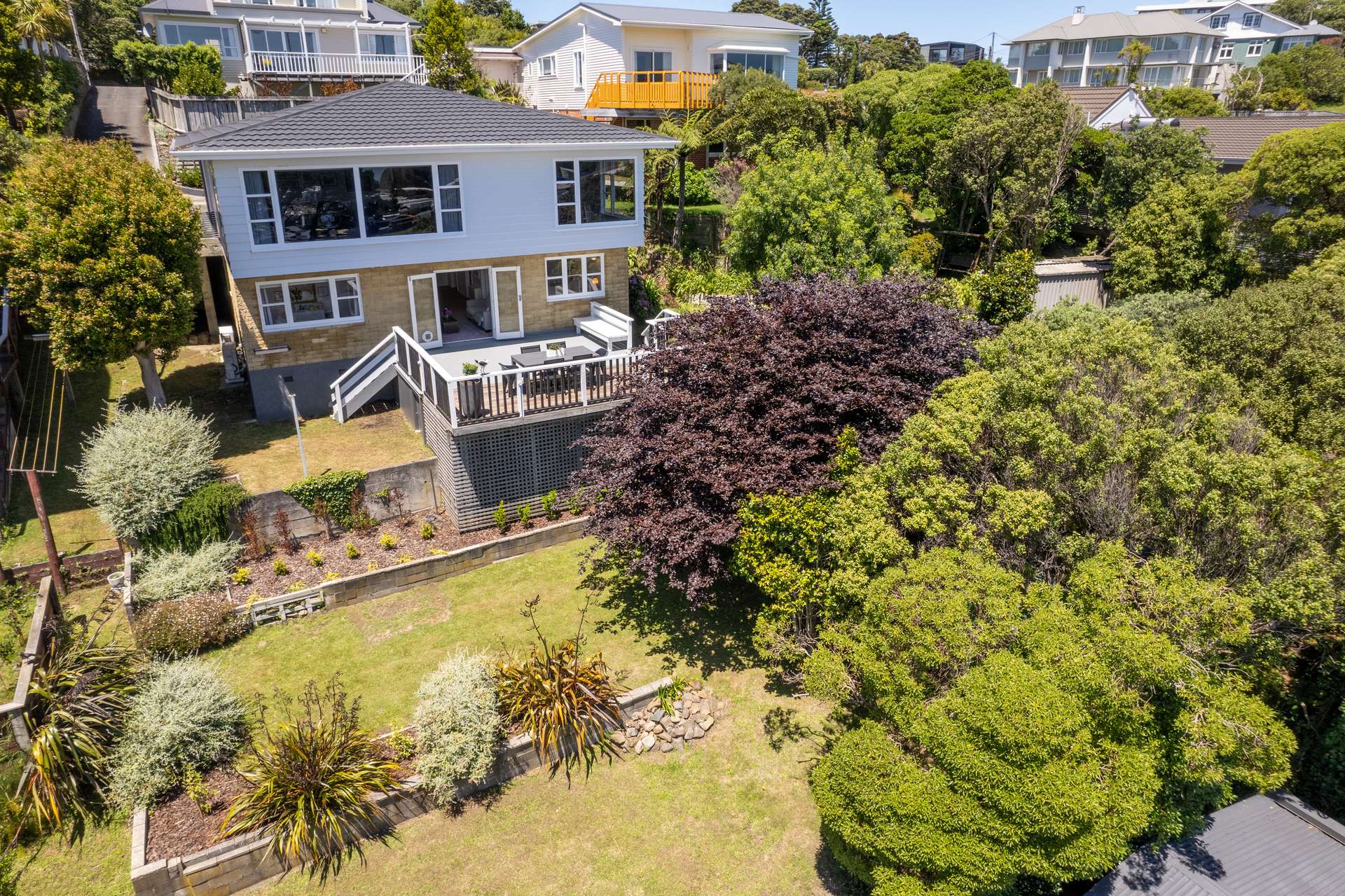 113A Seatoun Heights Road photo 23