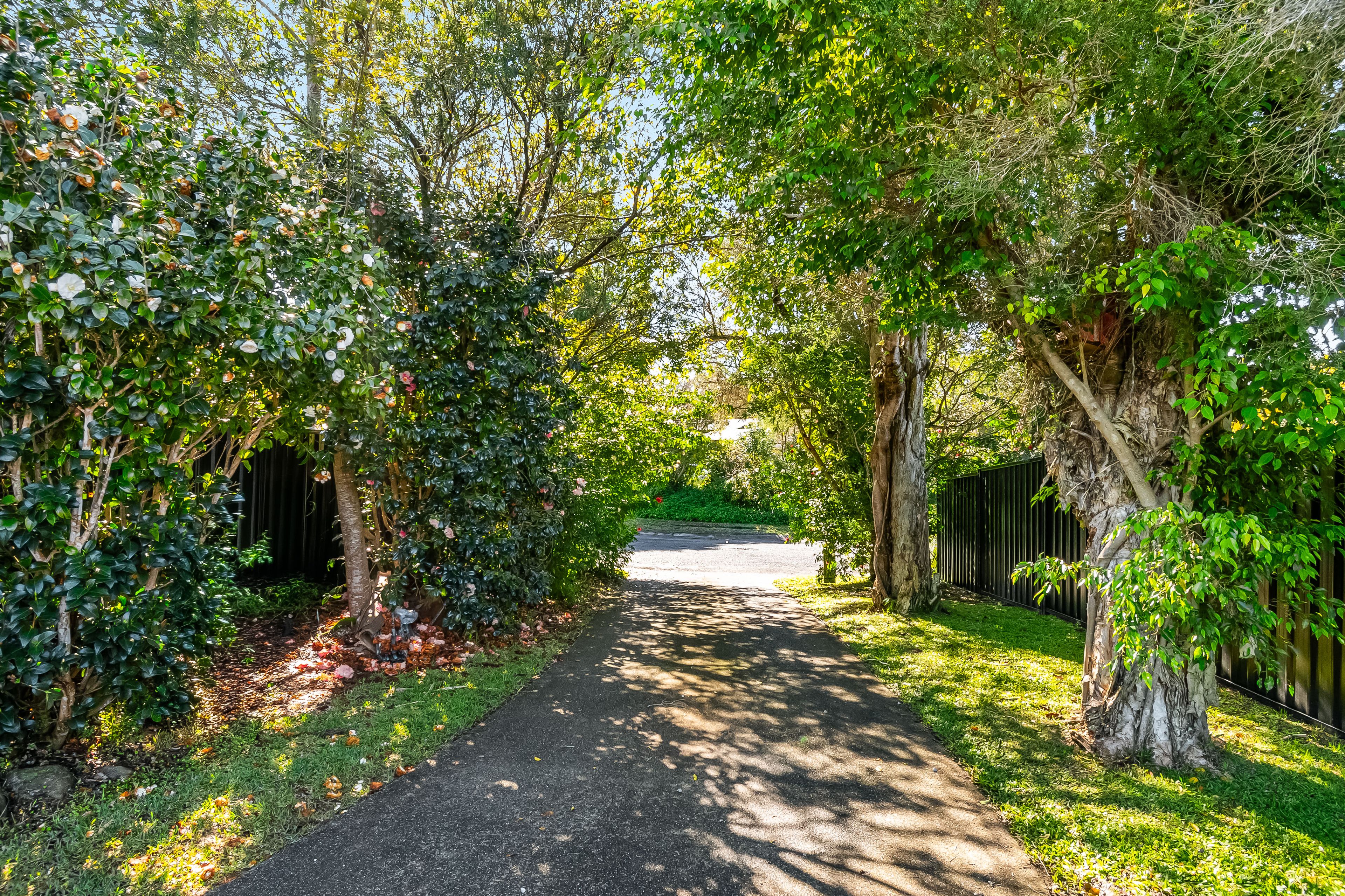 4 Hibiscus Place — photo 4 of 11