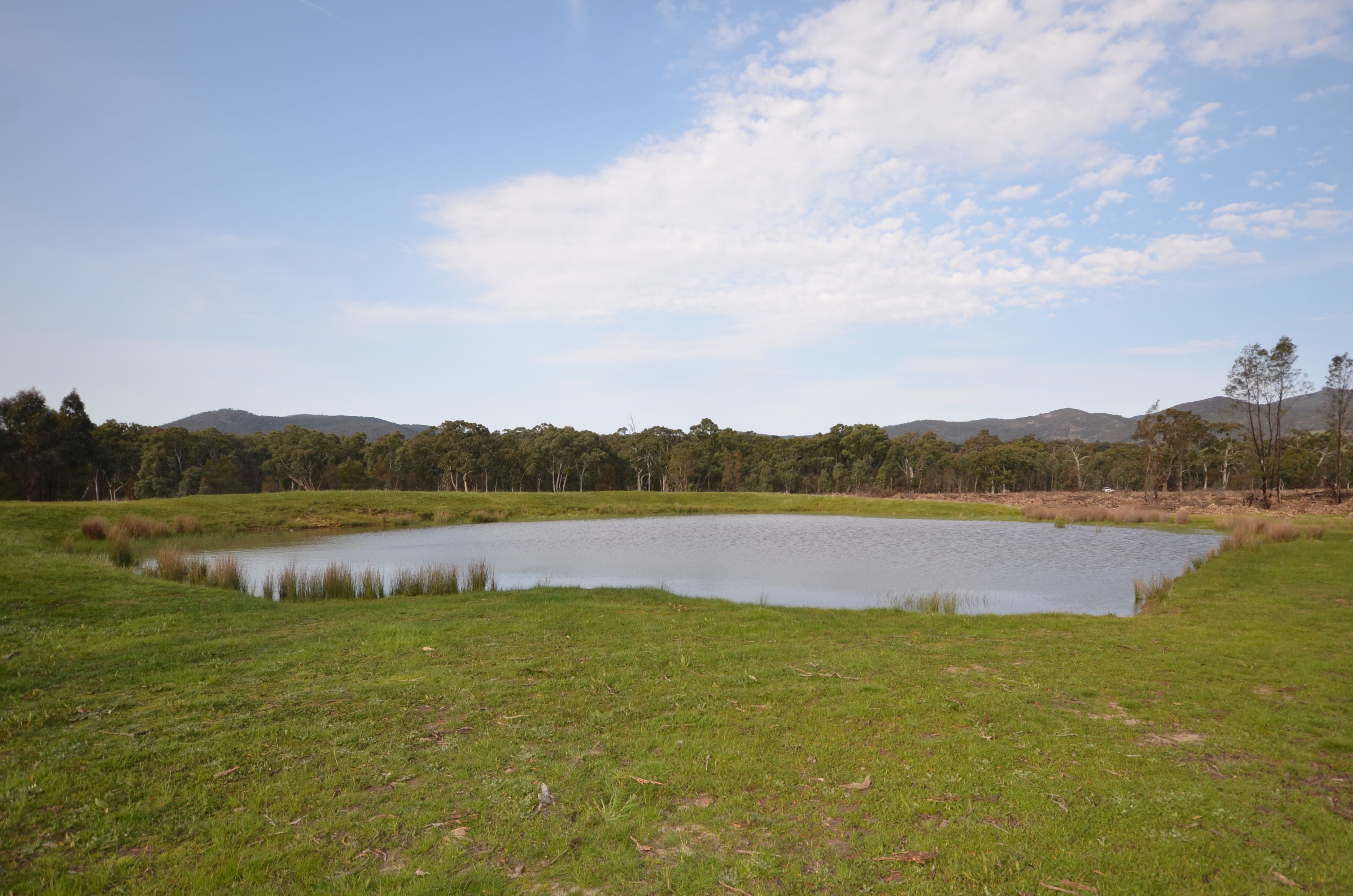 Pilgrim South Buangor - Ben Nevis Road, WARRAK, VIC 3377