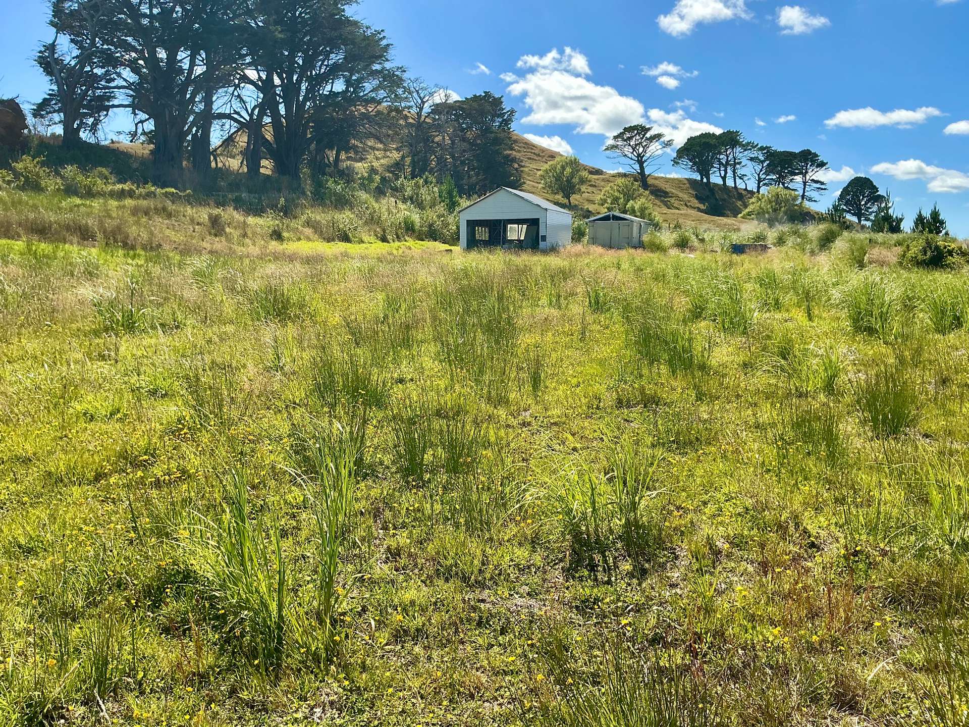 1391 Kaipara Hills Road photo 0