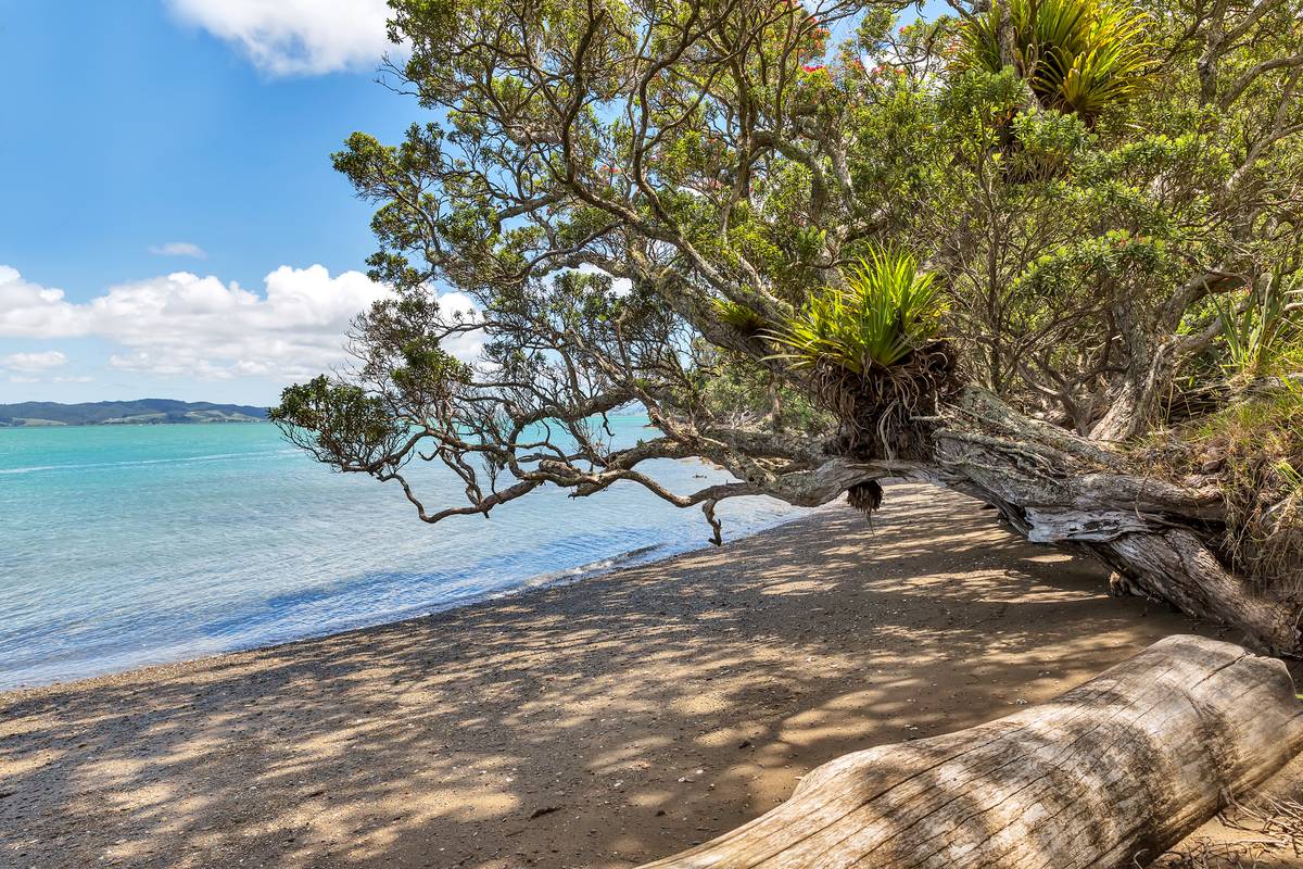 309 Nook Road, Parua Bay, Whangarei District Real Estate Ray White New Zealand