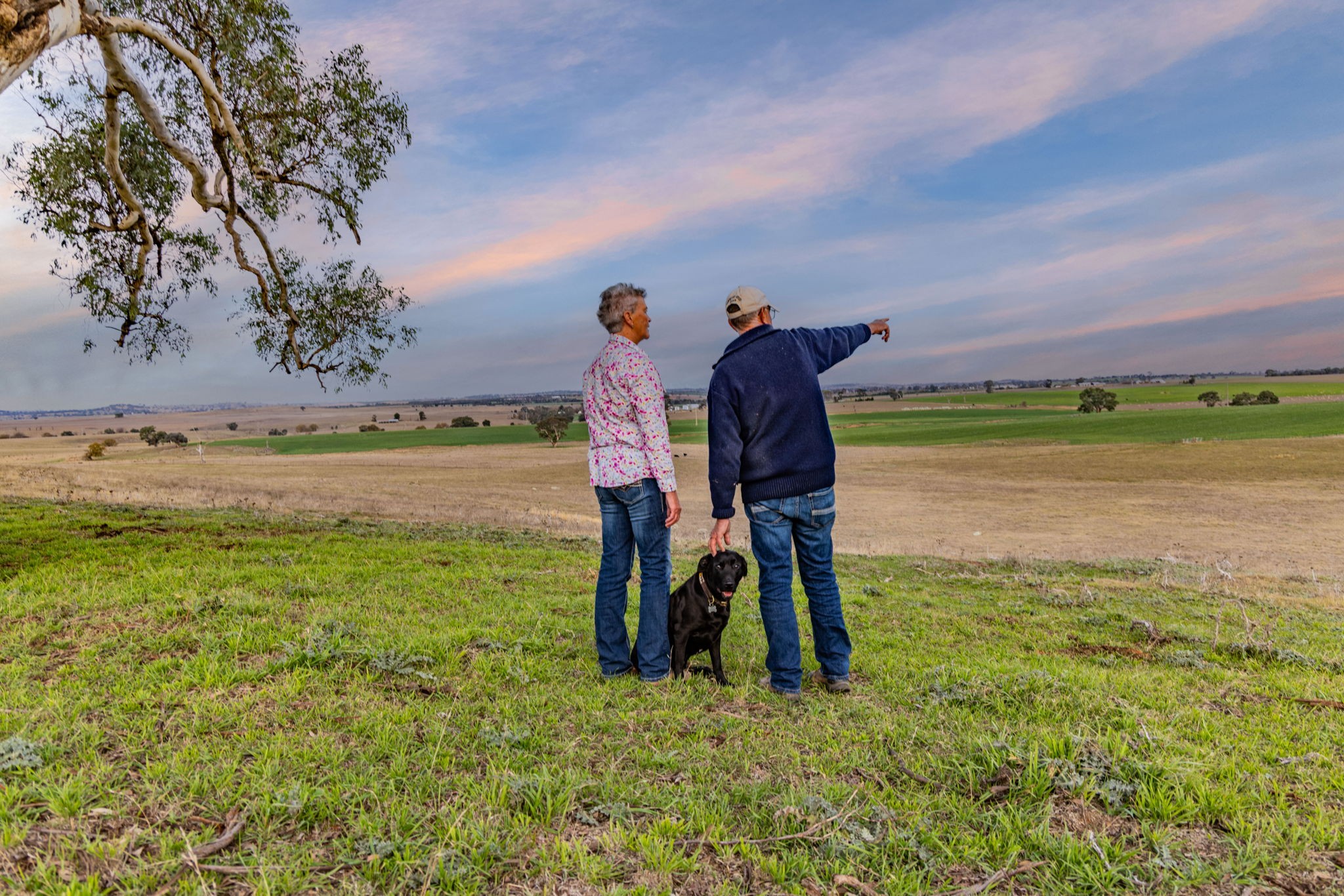 456 Ballyryan Road, Boorowa, NSW 2586