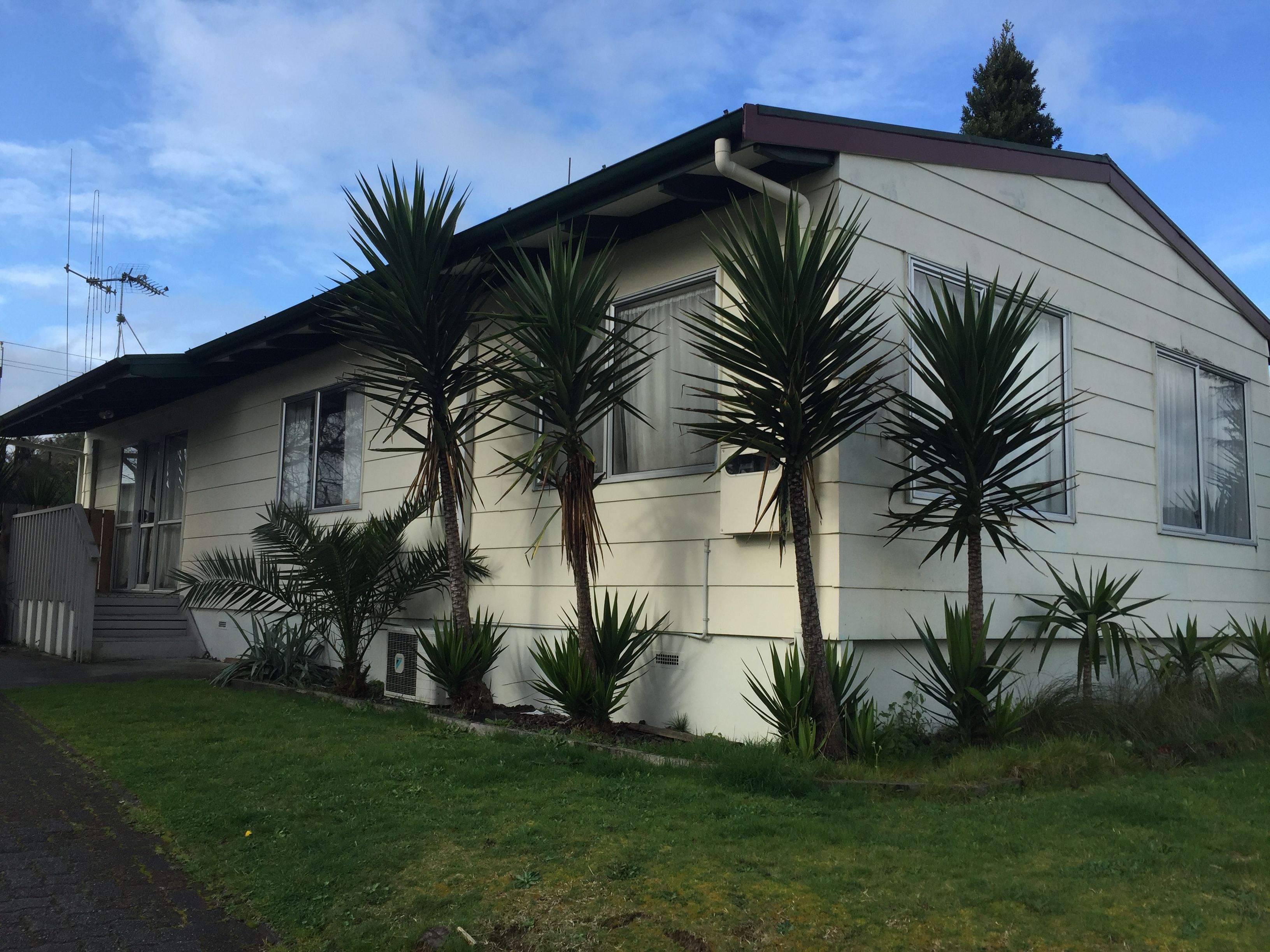 29 Riley Place, Fitzroy, Hamilton City