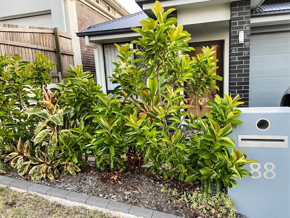 88 Midnight Crescent, SPRING MOUNTAIN, QLD 4300