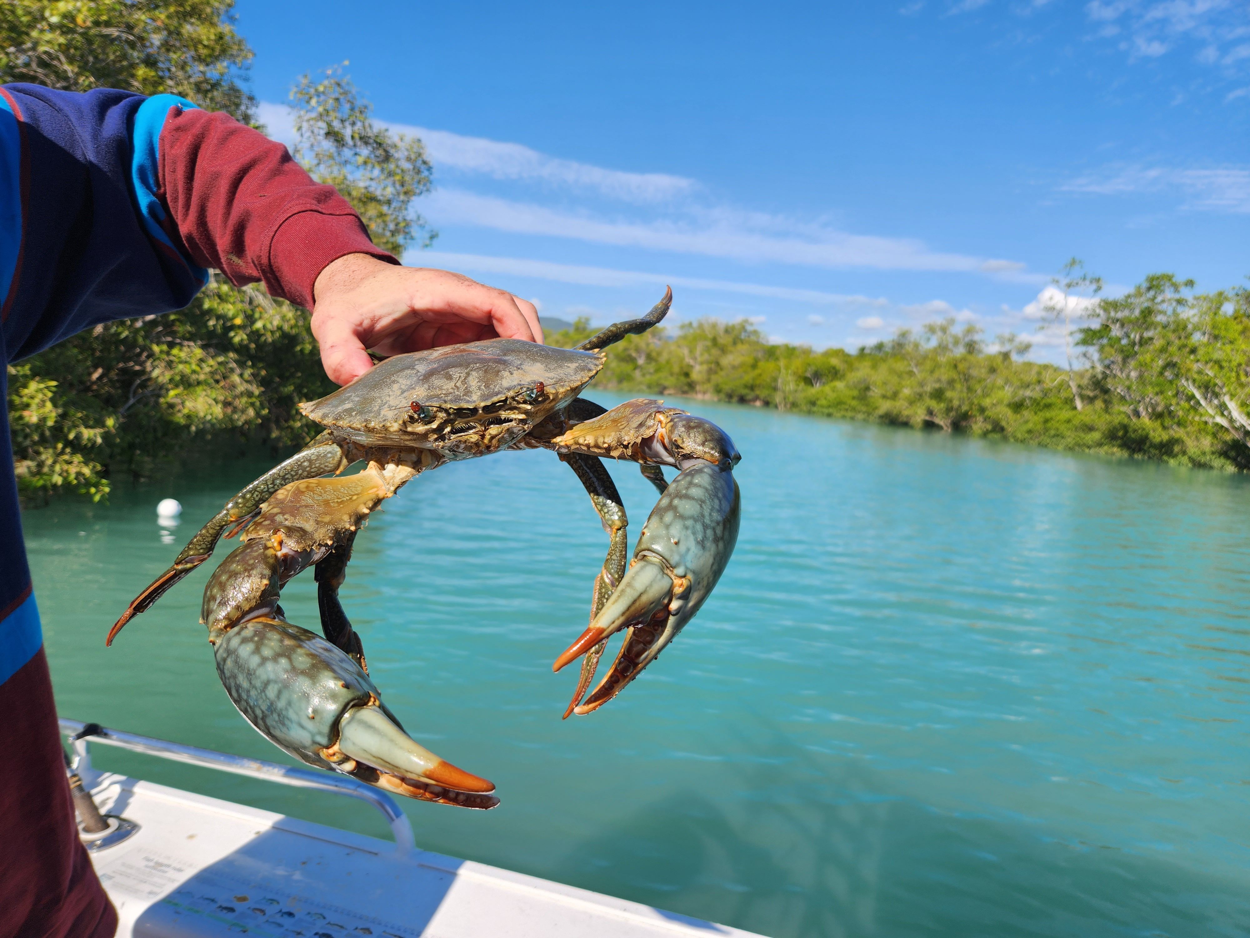 225 Douglas Road, Carmila, QLD 4739