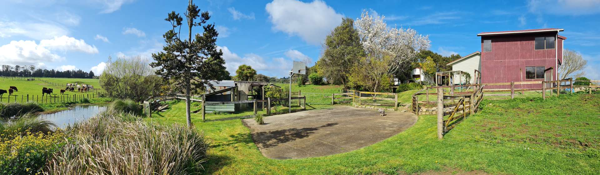 22 Whangarata Road photo 3