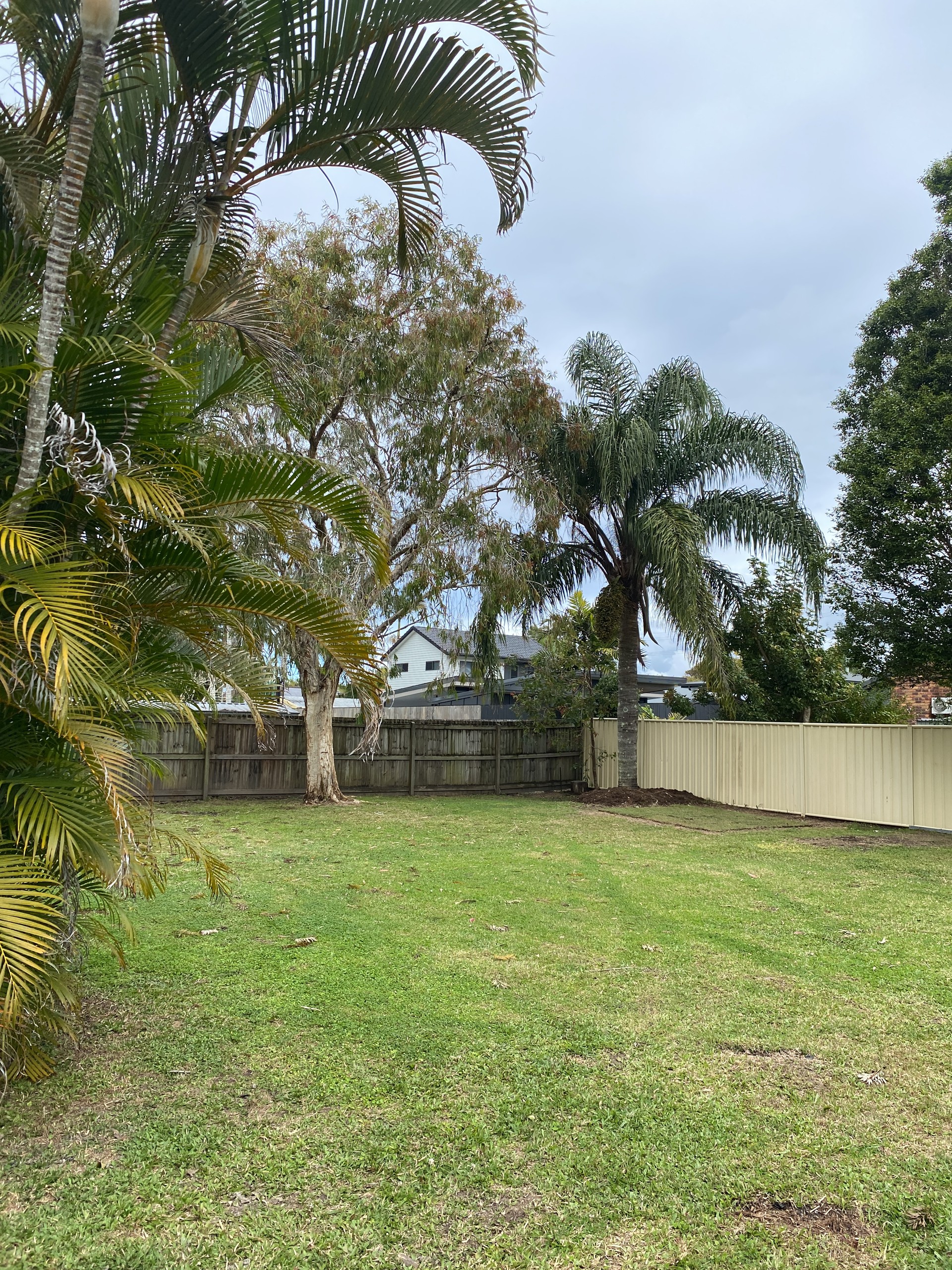 12 Augusta Court, Buderim, QLD 4556