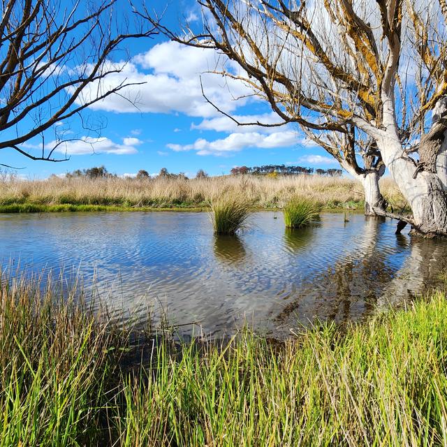 Springrange 1076 Spring Range Road, Springrange, NSW 2618 - Sold House - Ray White ...