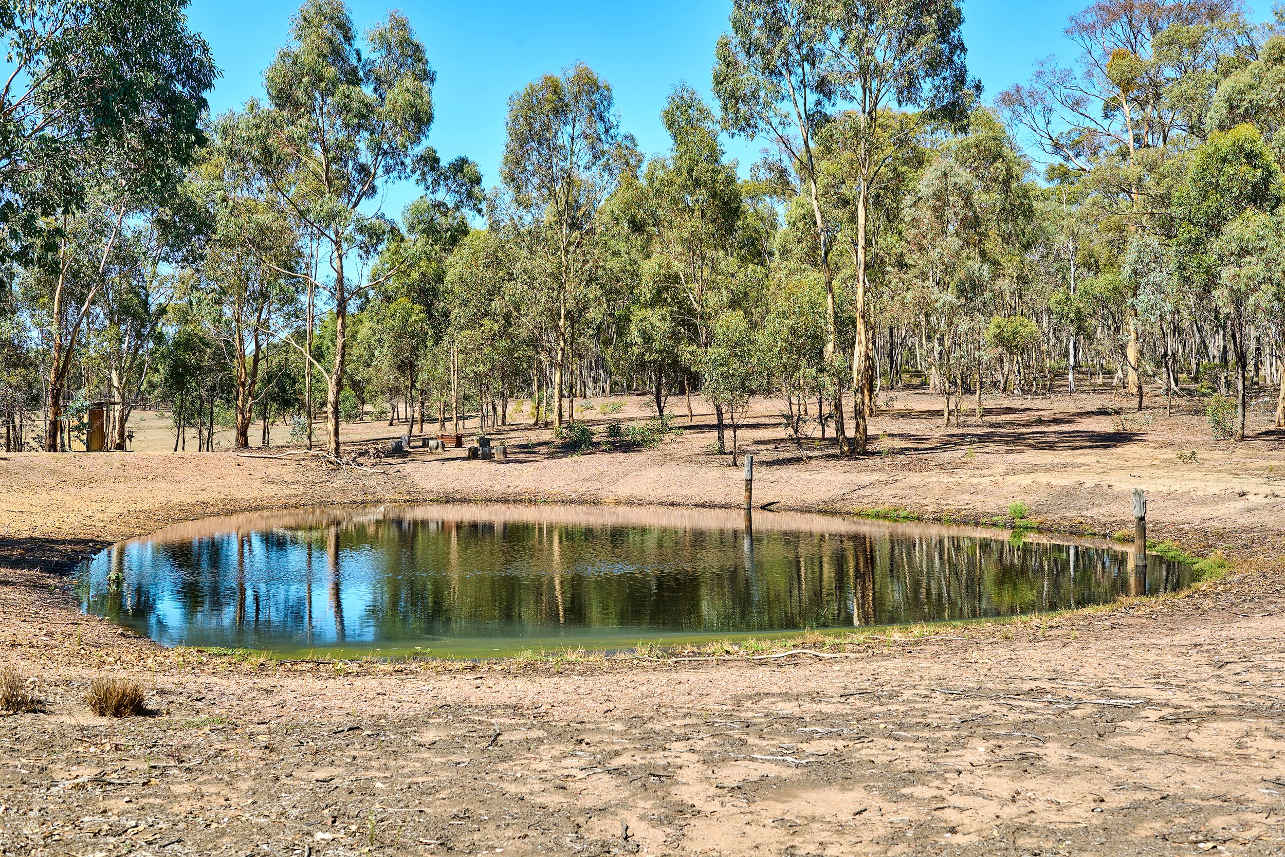 54 One Eye Forest Road, Heathcote, VIC 3523
