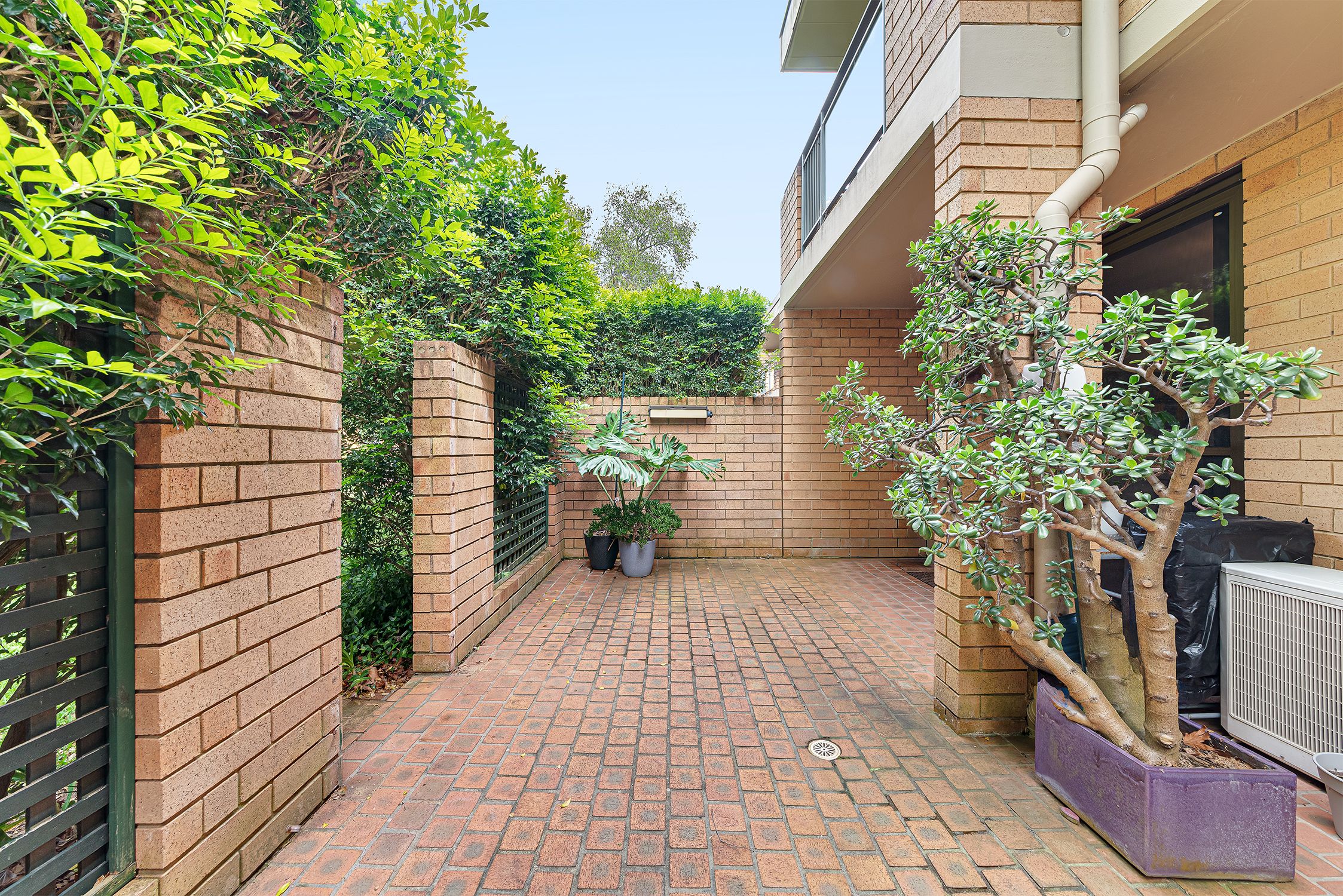 55/11-33 Maddison Street — photo 4 of 14