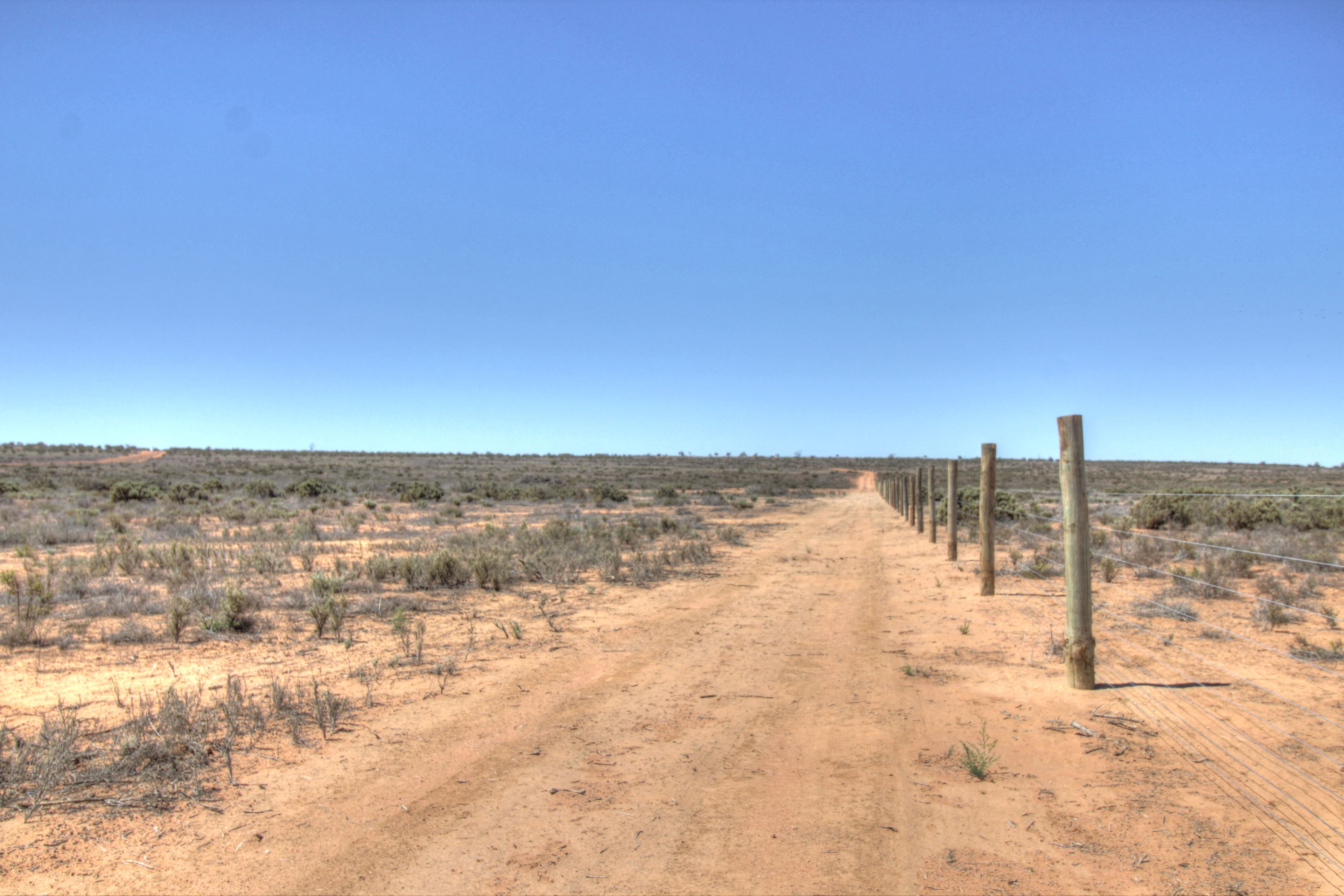 Lot 53/718 Queen Elizabeth Drive, Barmera, SA 5345