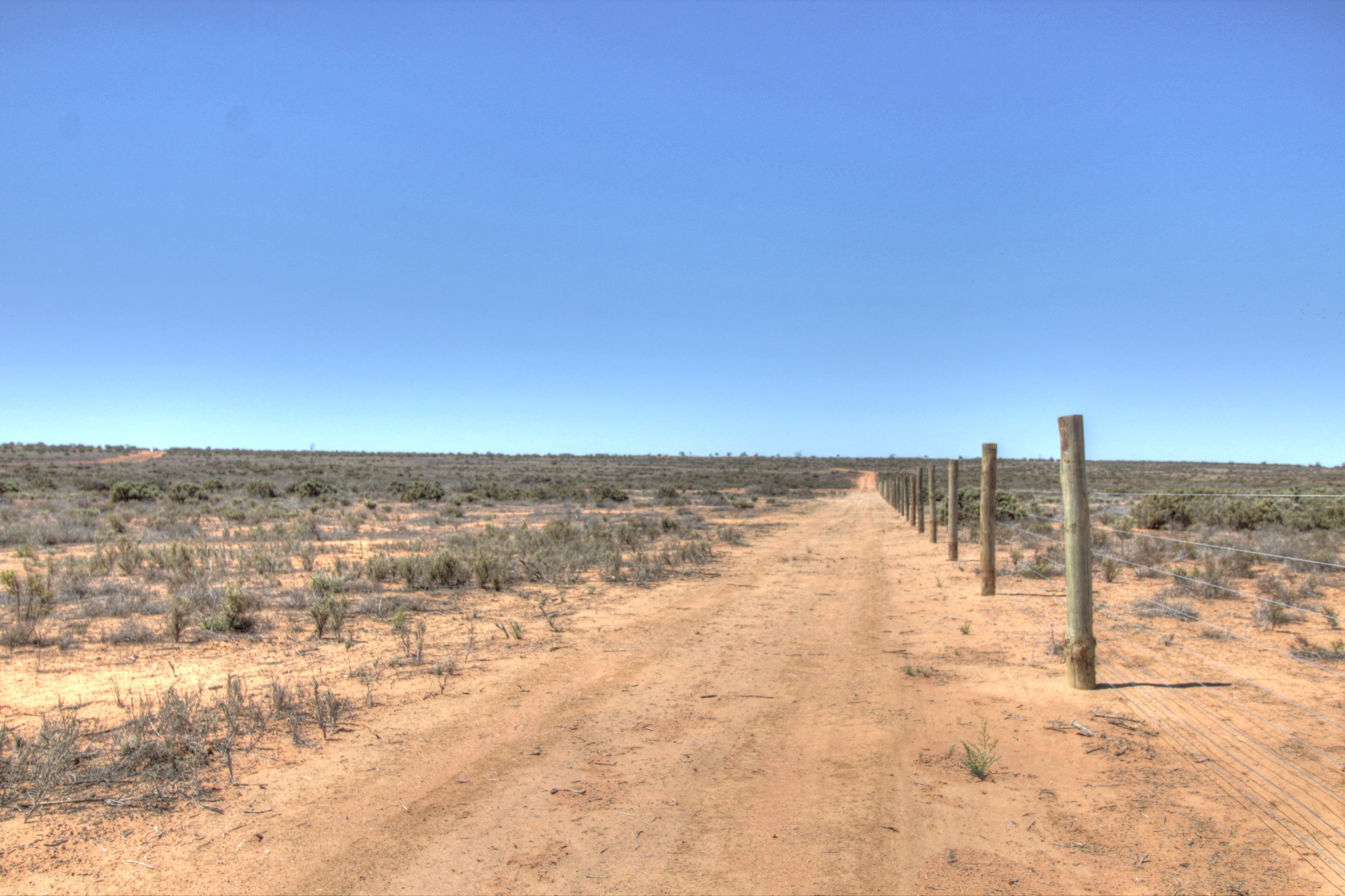 Lot 53/718 Queen Elizabeth Drive, Barmera, SA 5345
