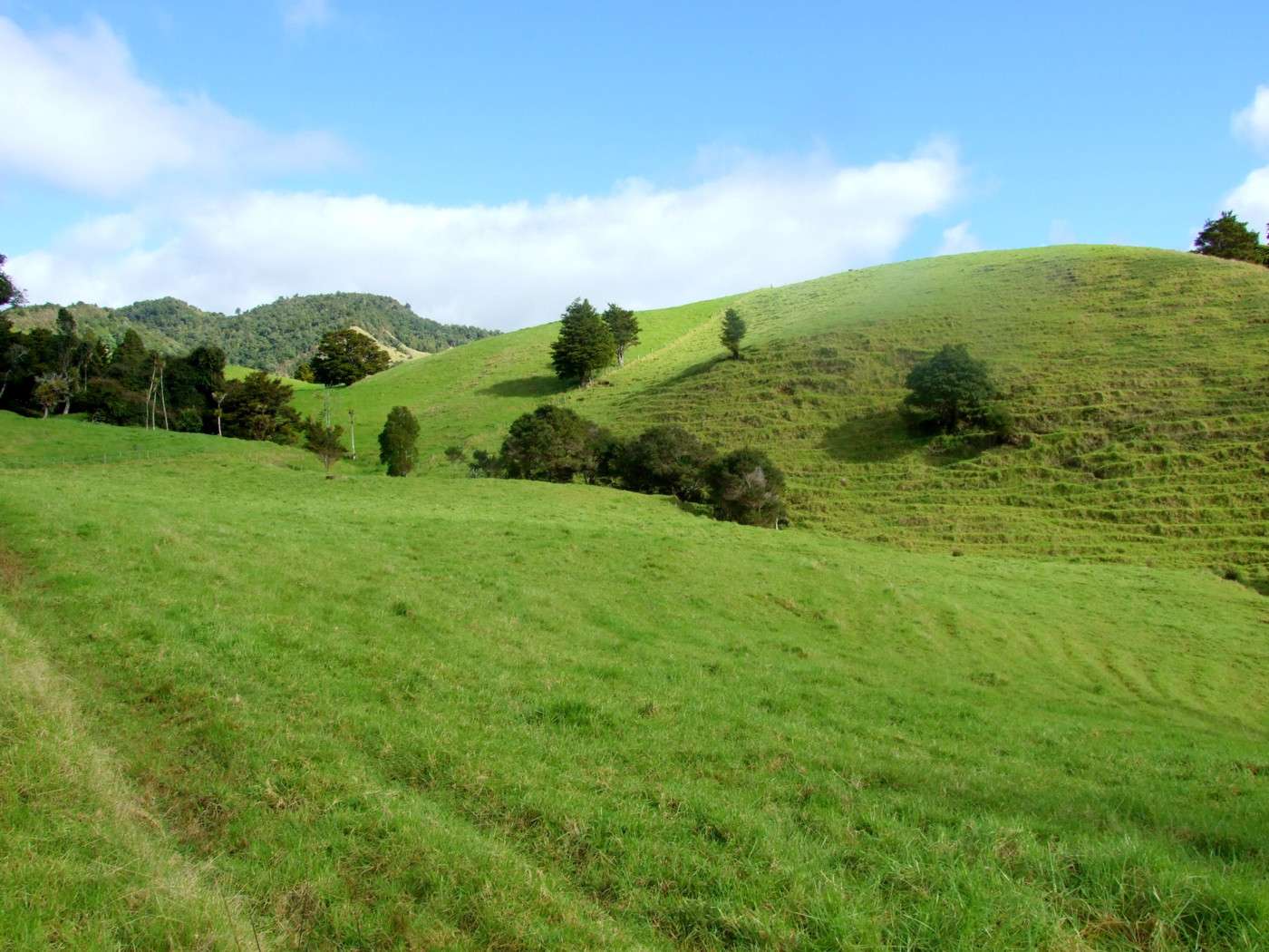 185 Takahue Saddle Road photo 2