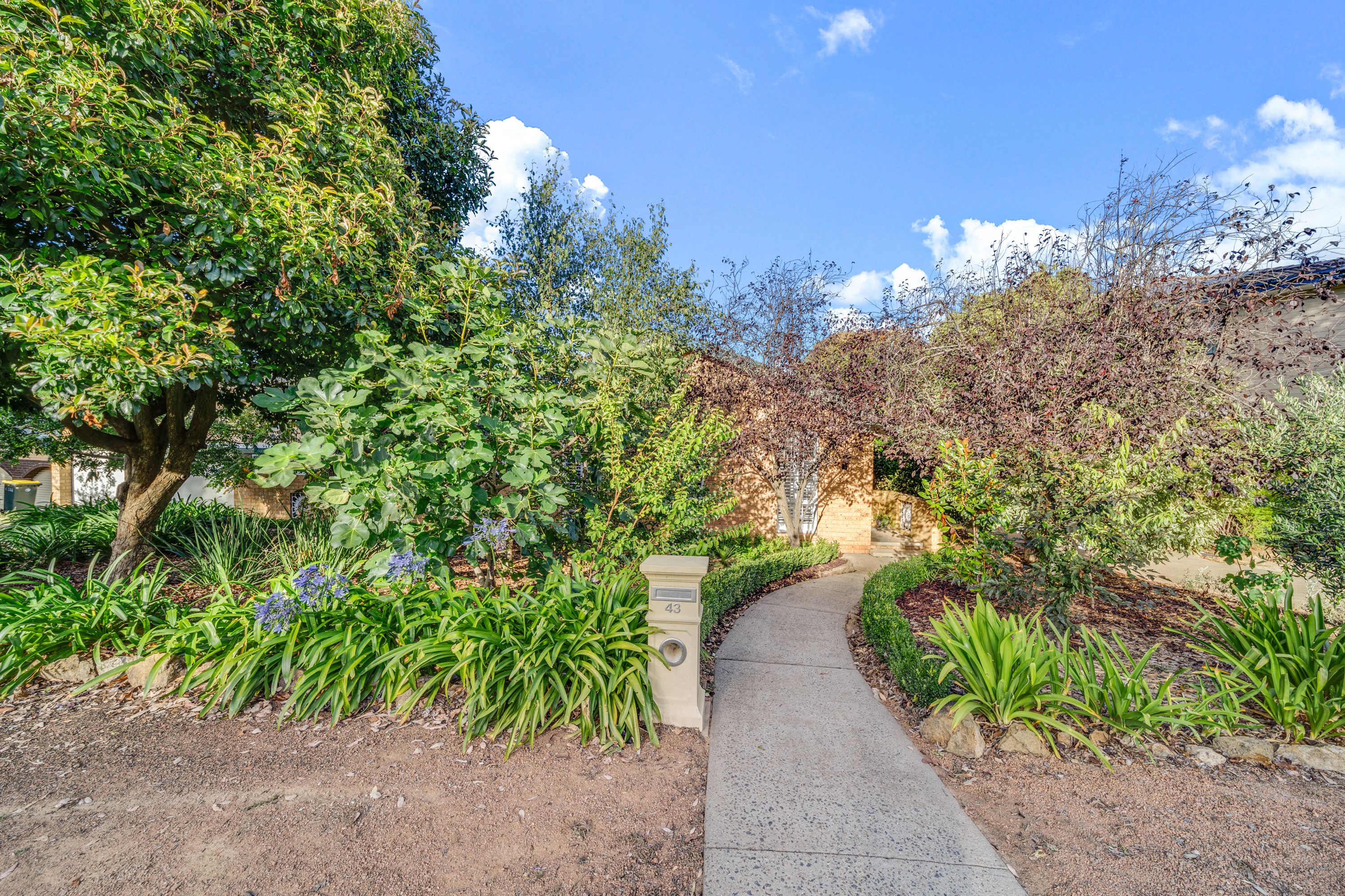 43 Tanumbirini Street, Hawker, ACT 2614