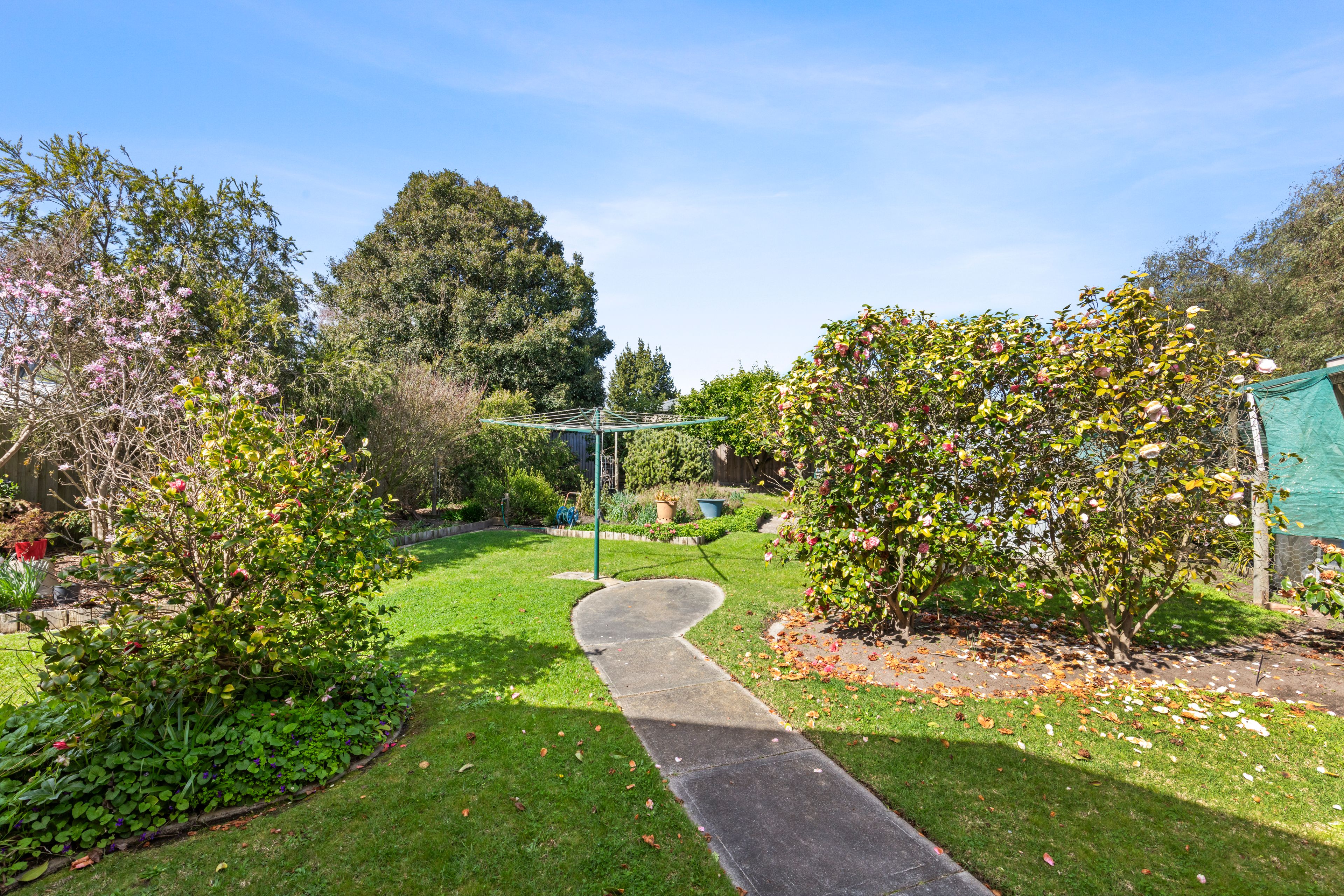 41 Palmerston Street — photo 13 of 14