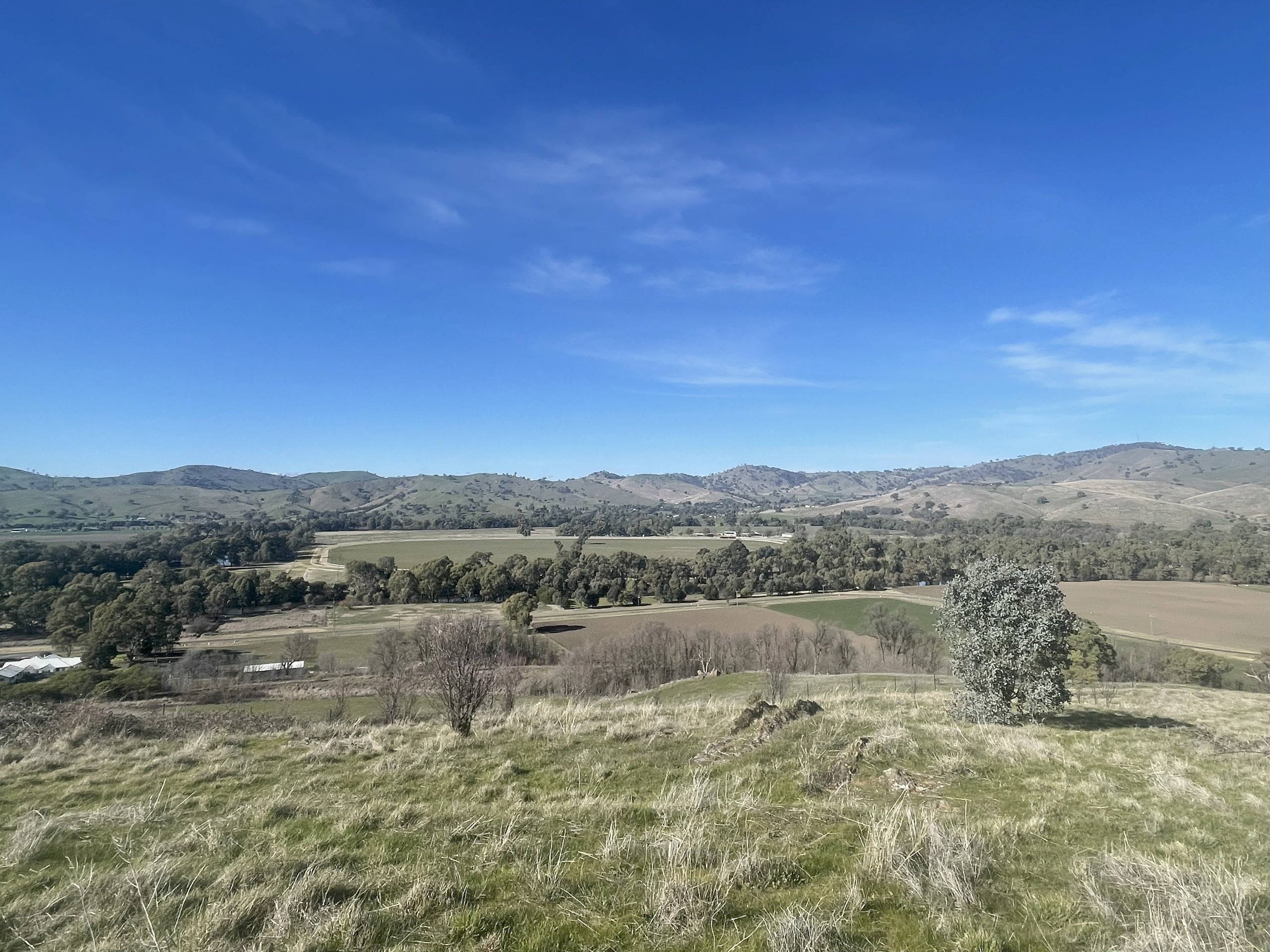 33 Hanley Street, Gundagai, NSW 2722