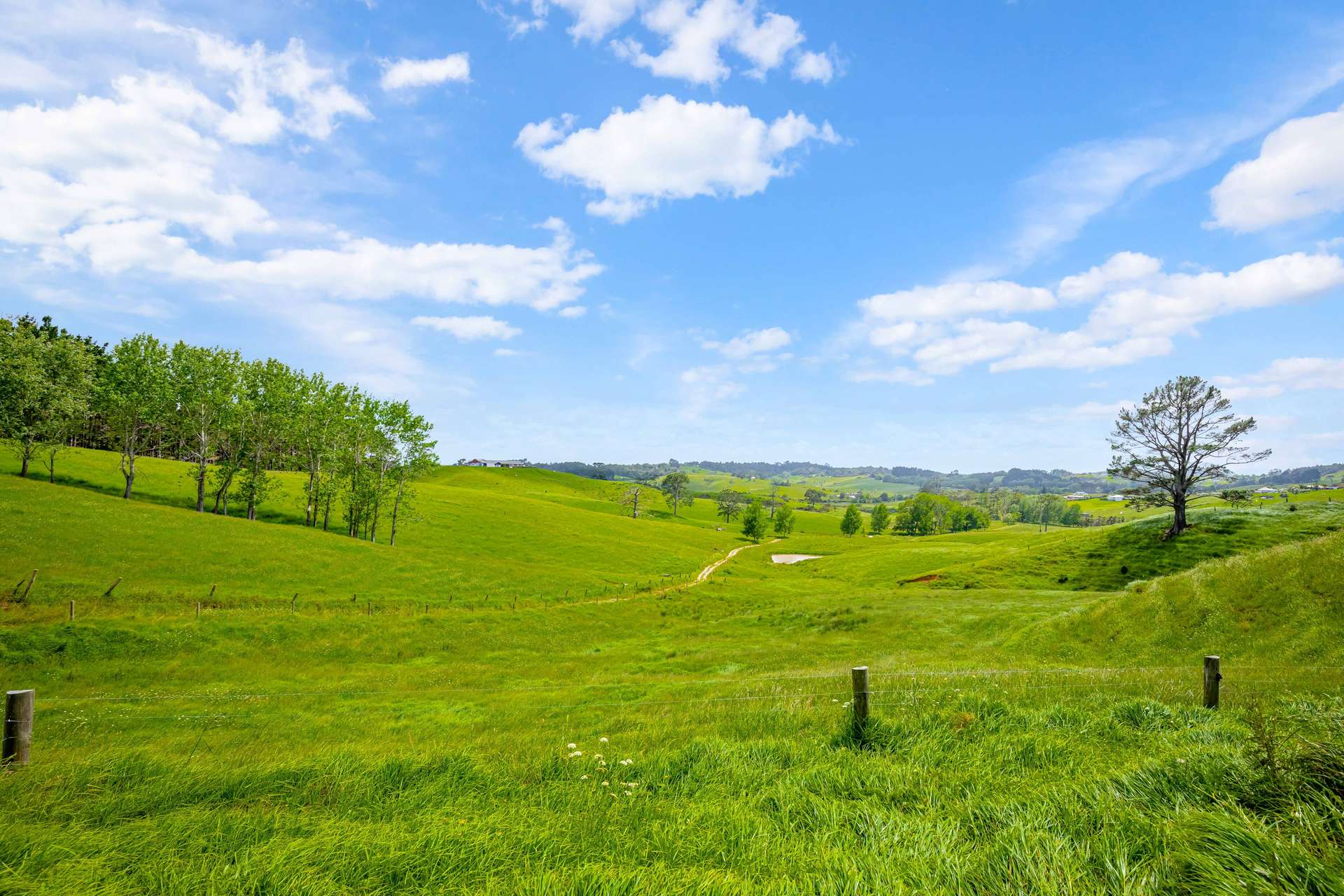 515 Kahikatea Flat Road photo 12