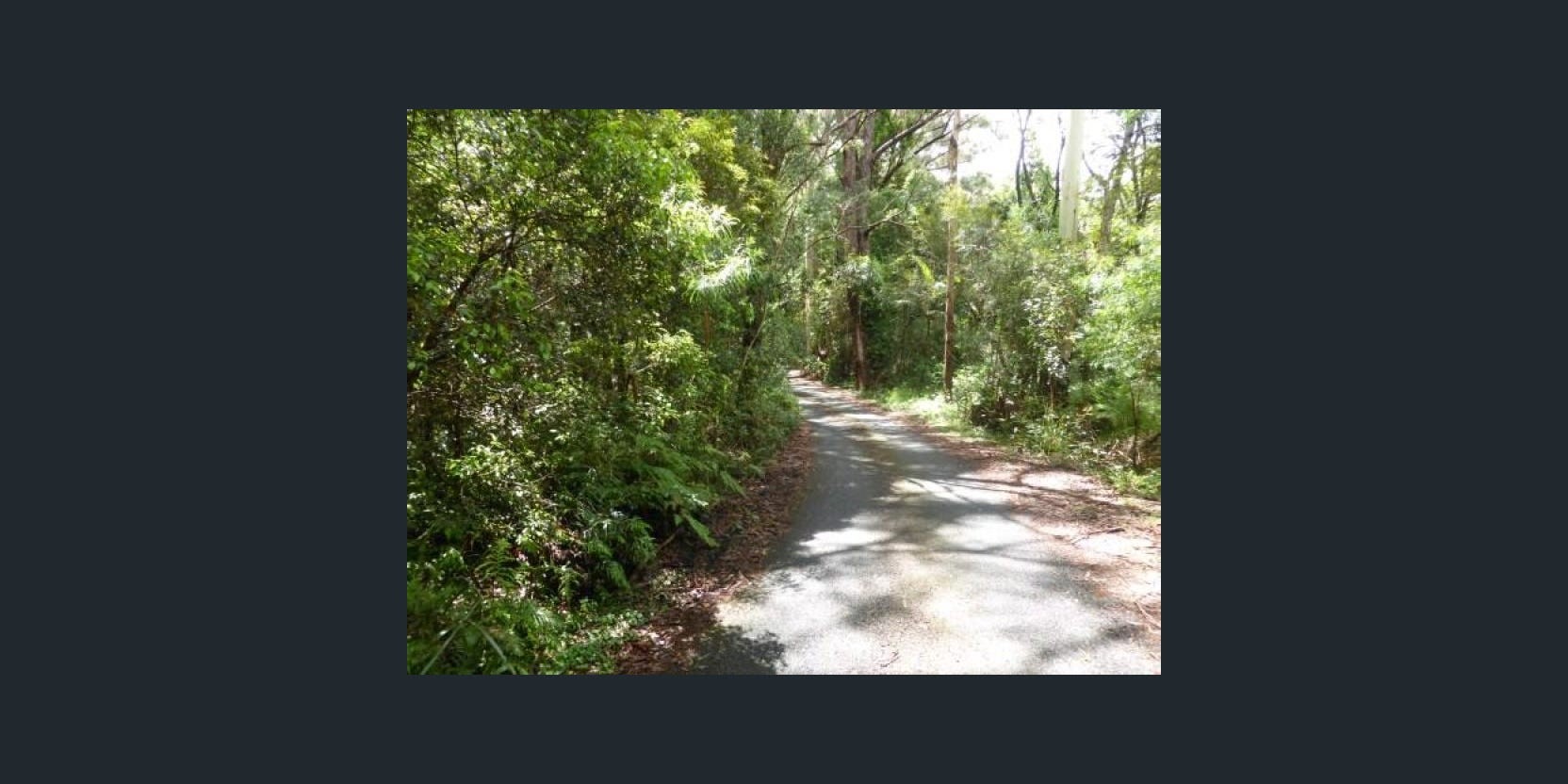 1 Mimosa Road, Springbrook, QLD 4213