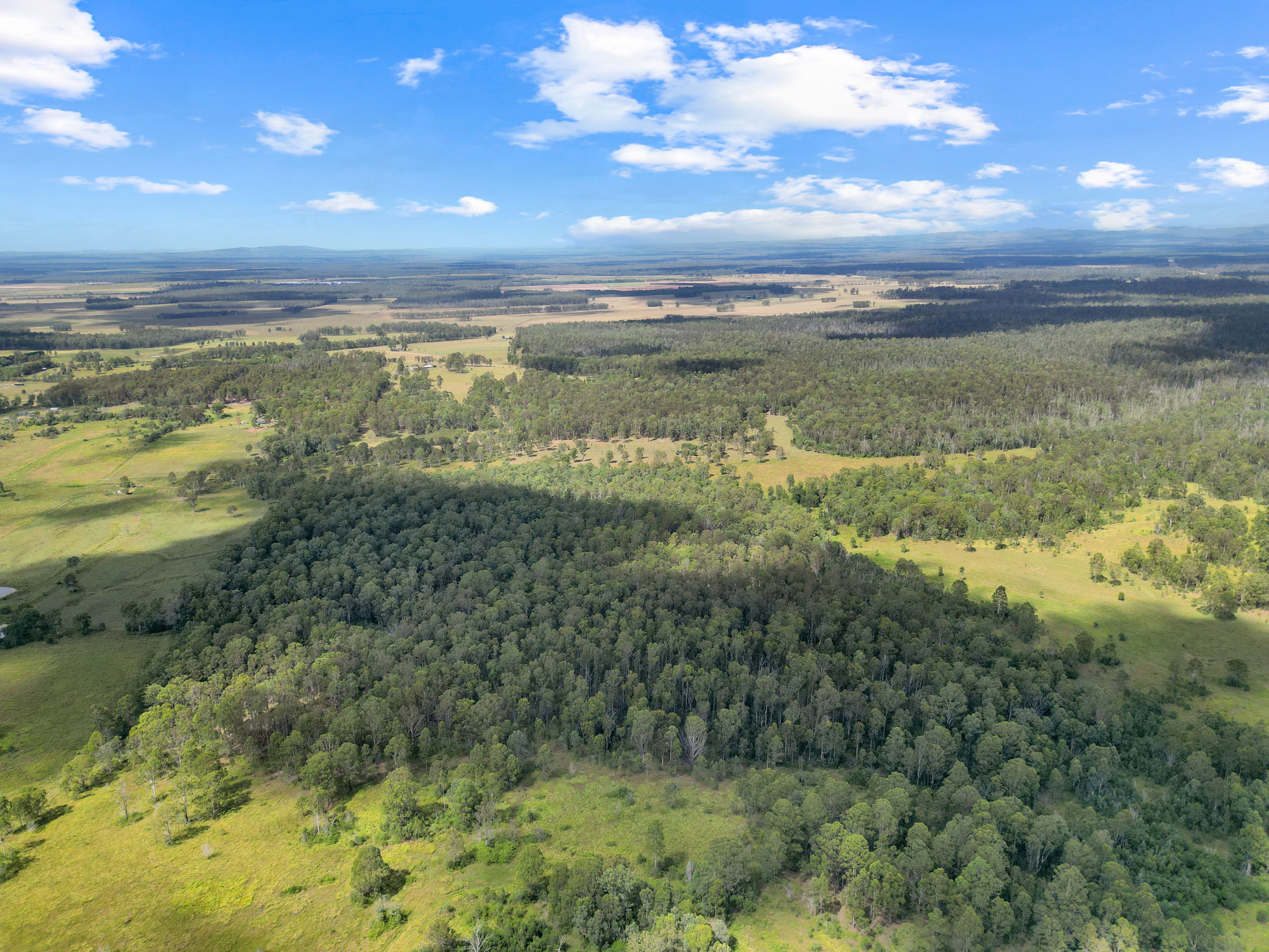 Lot 145 Ellangowan Myrtle Creek Road Ellangowan Via — photo 11 of 11