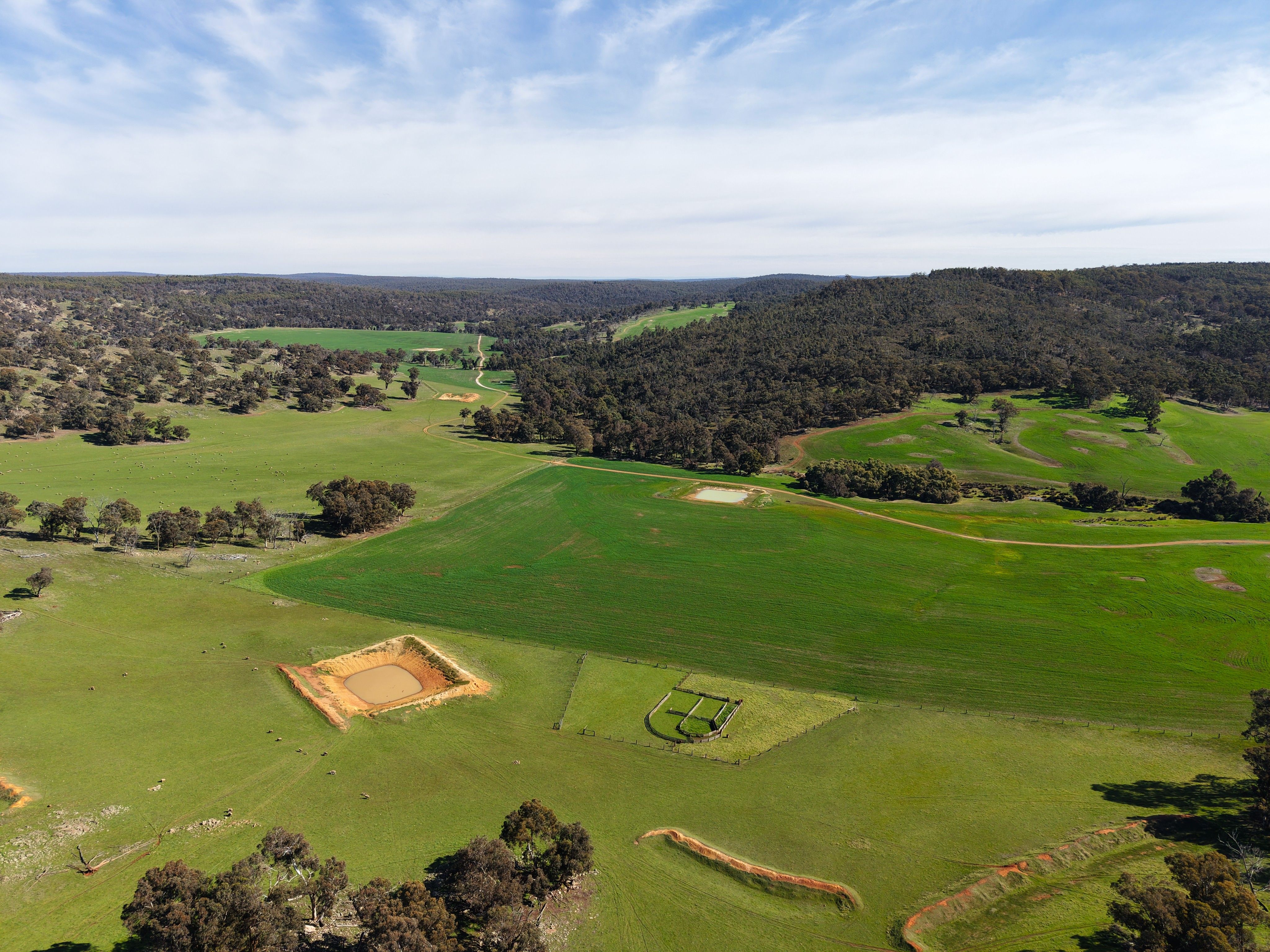 Kyellen Farm, Quindanning-Darkan Road — photo 4 of 30