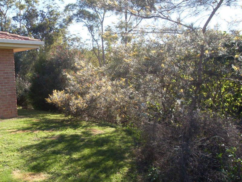 35 Outlook Terrace, Ferny Grove, QLD 4055