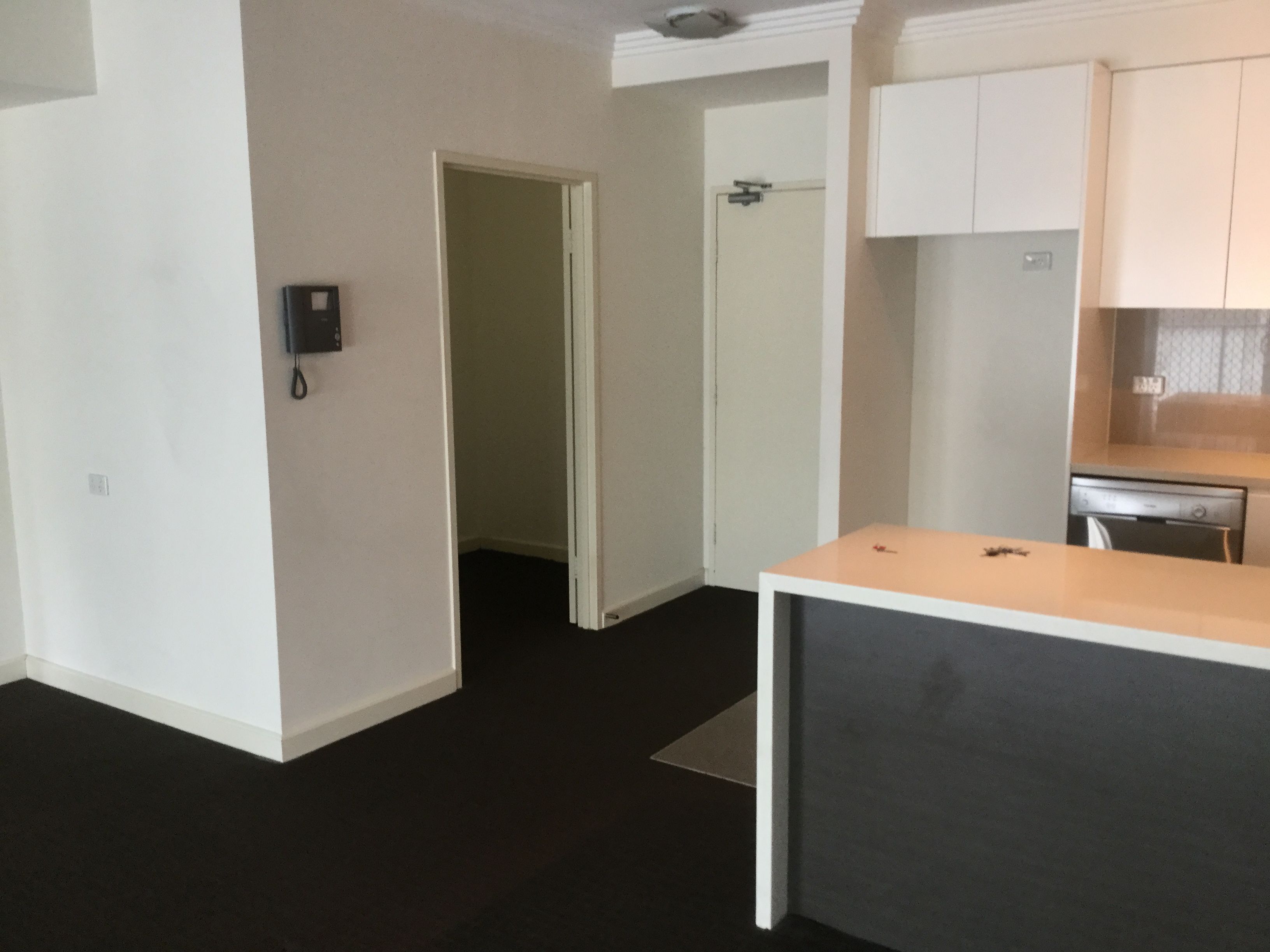 1/15-23 Lusty Street, Wolli Creek, NSW 2205