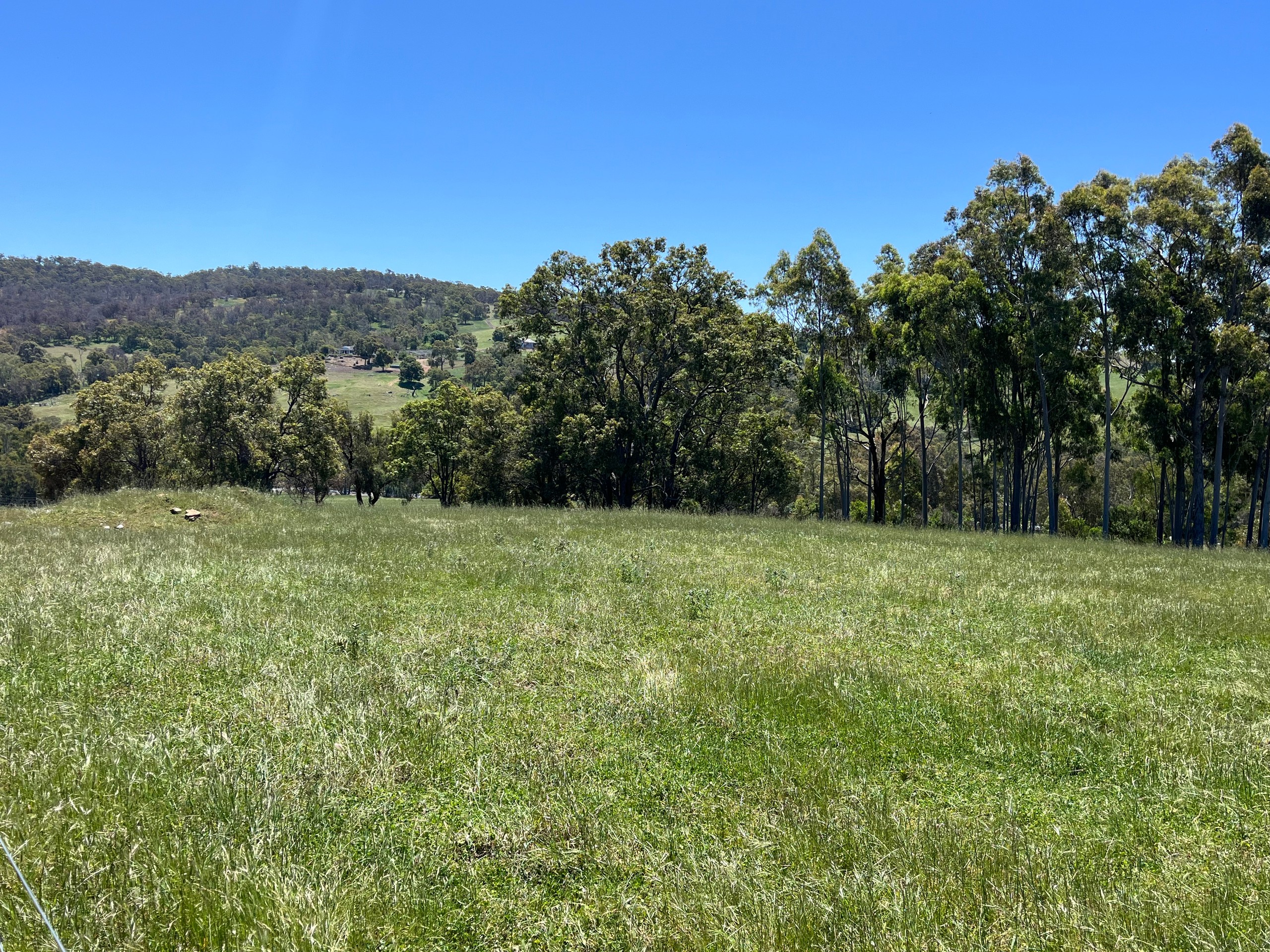 29 Springvale Road, Bullsbrook, WA 6084