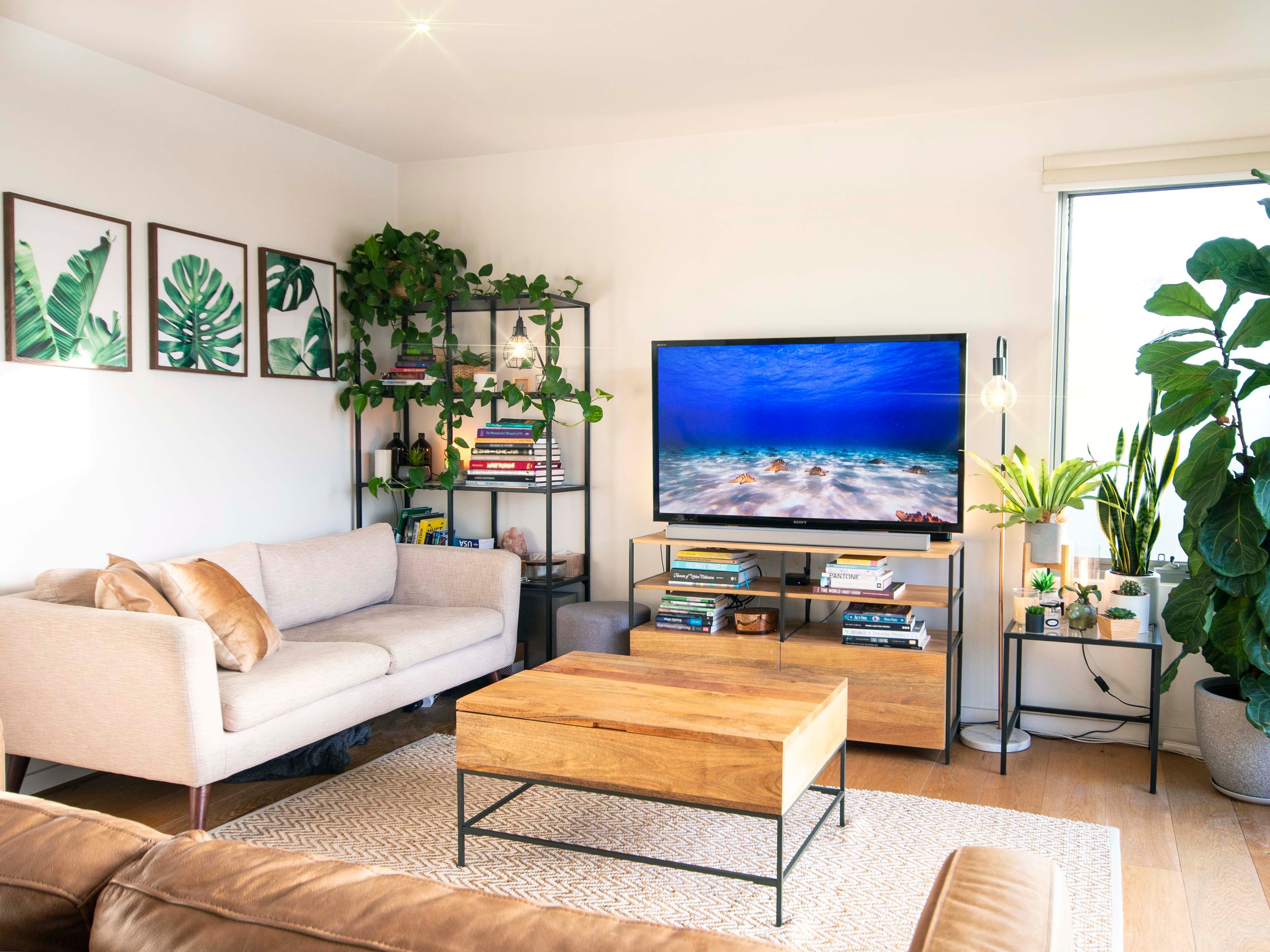 116/41 Murrumbeena Road, Murrumbeena, VIC 3163