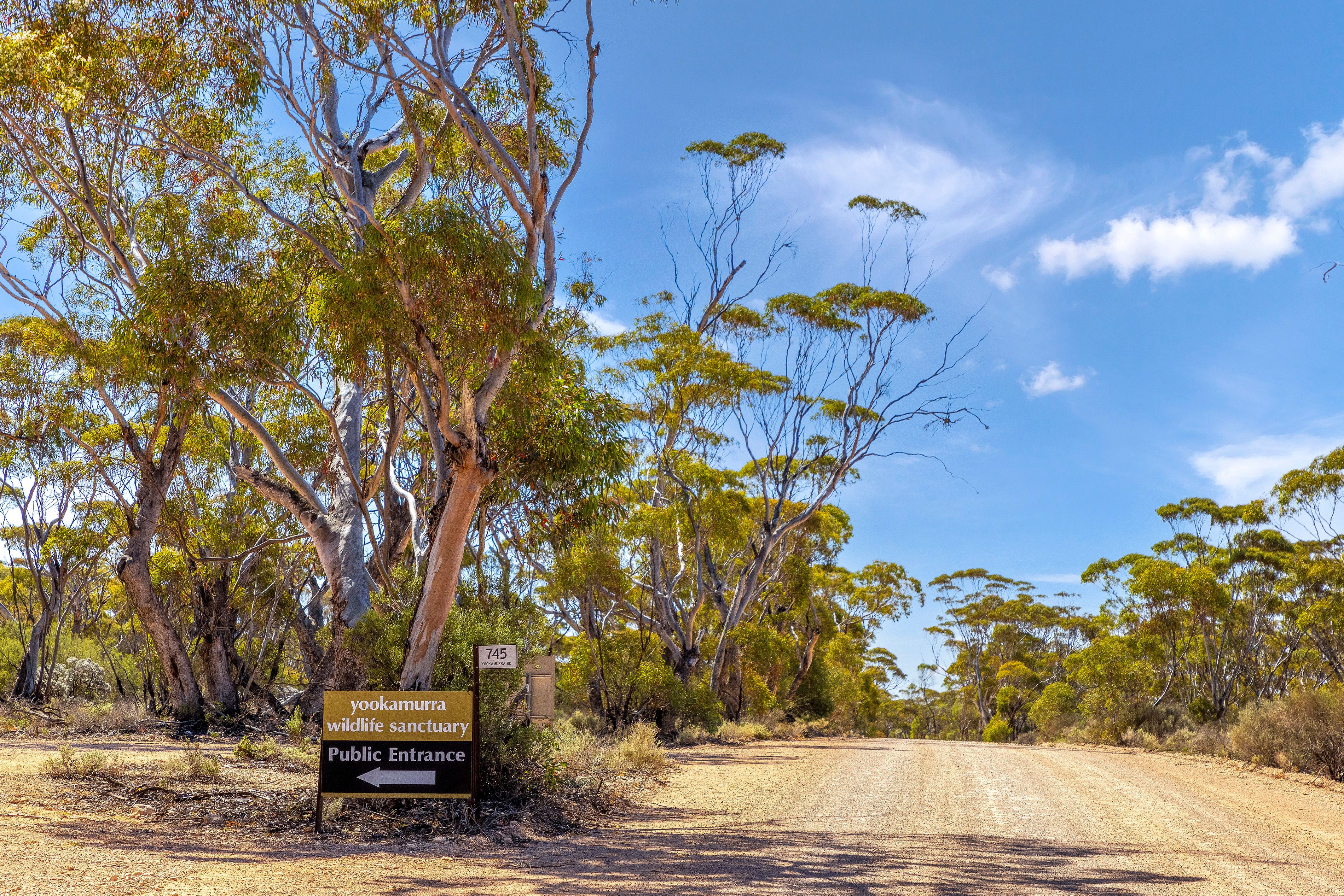 Lot 44 Yookamurra Road, Fisher, SA 5354