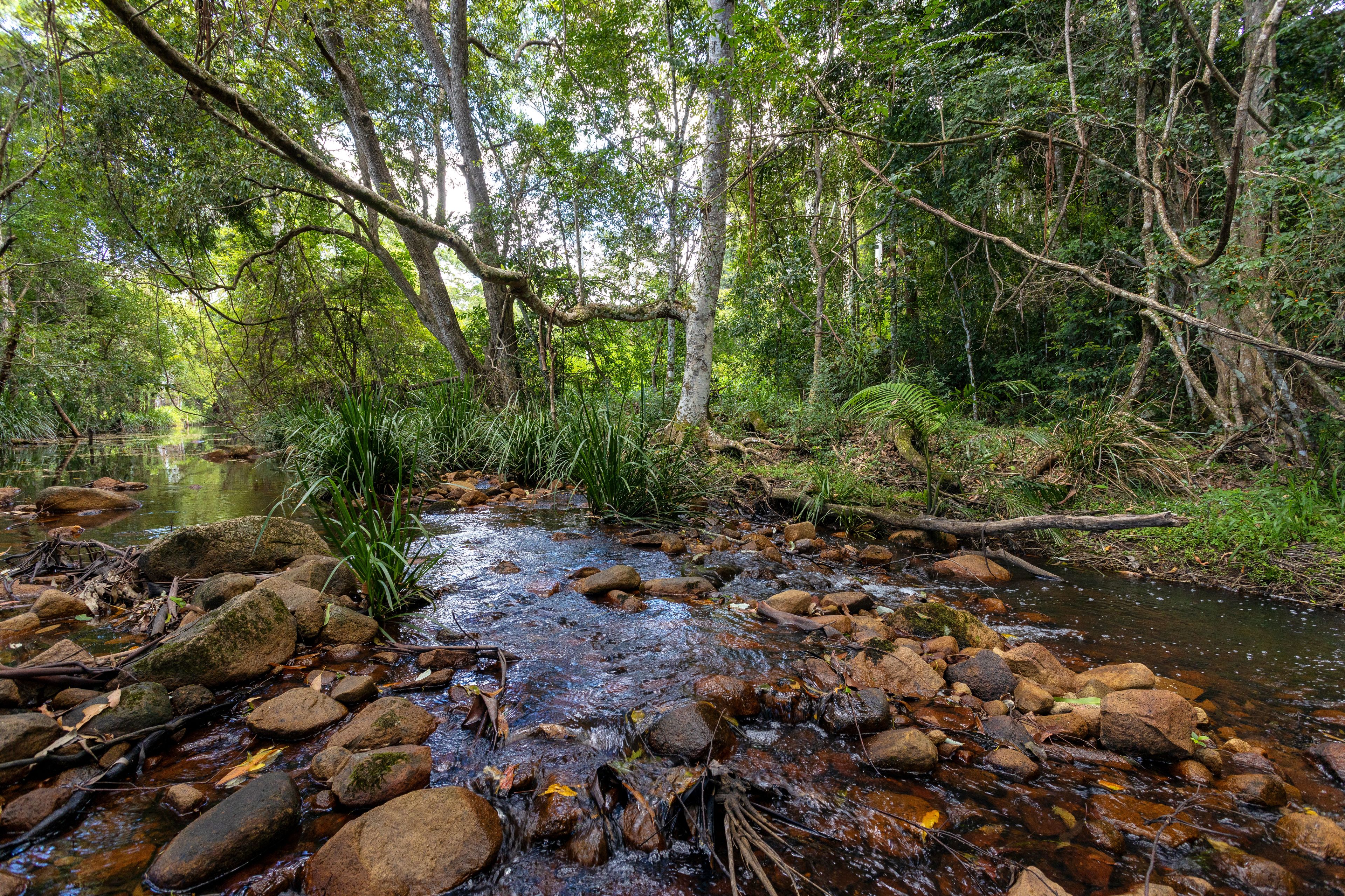 10 Holey Flat Lane, Moorland NSW 2443