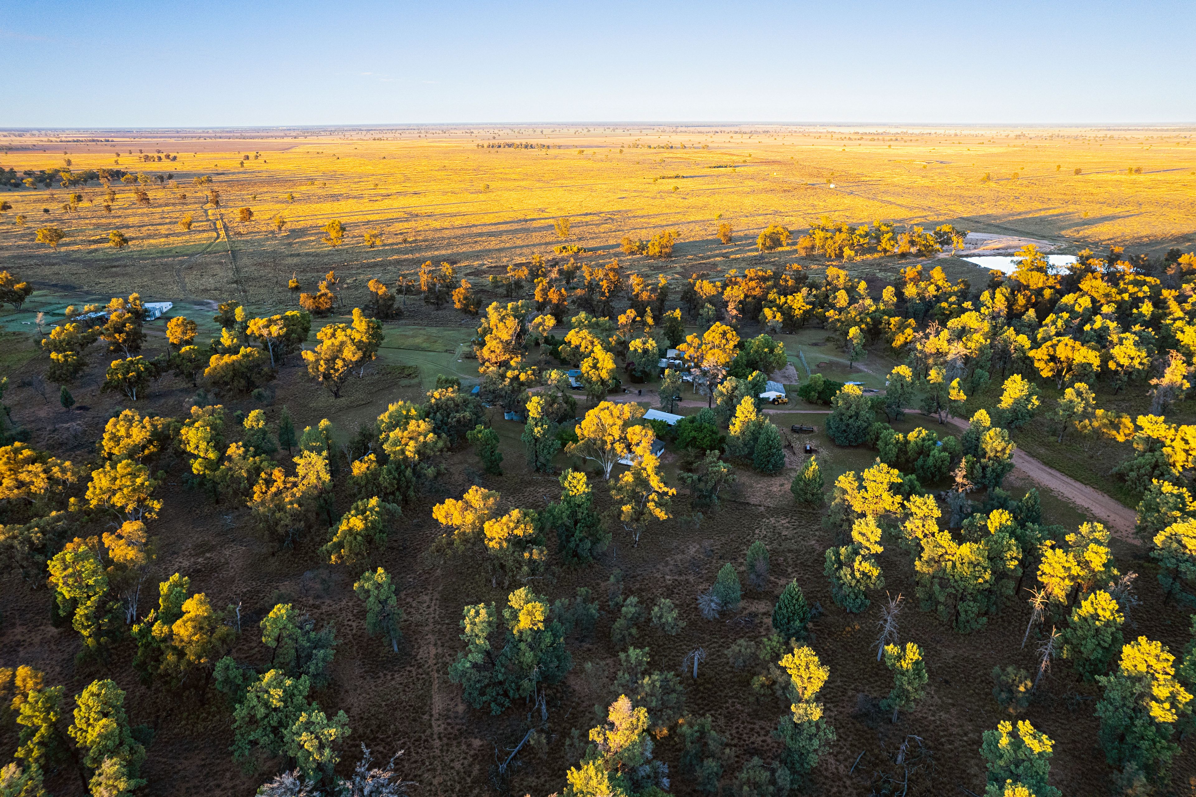 "Sandhurst" Sandhurst/3769 Quambone Road, Coonamble, NSW 2829 Rural
