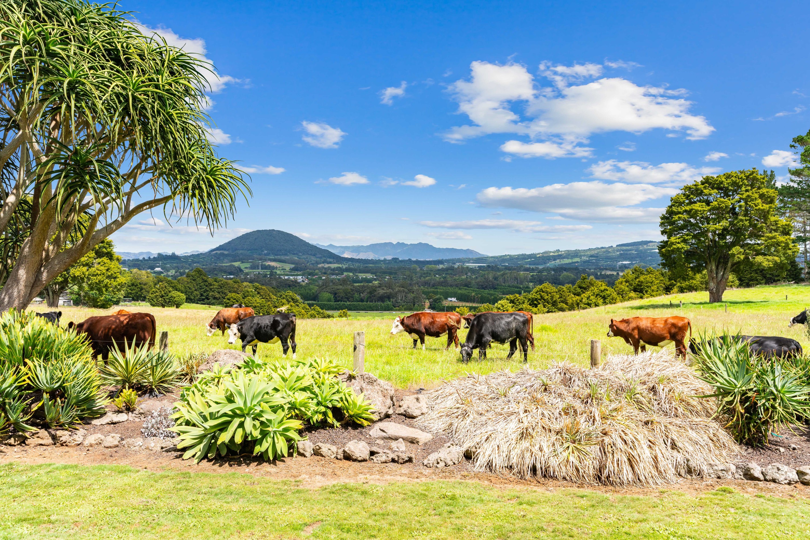 992 State Highway 14, Maungatapere, Whangarei District