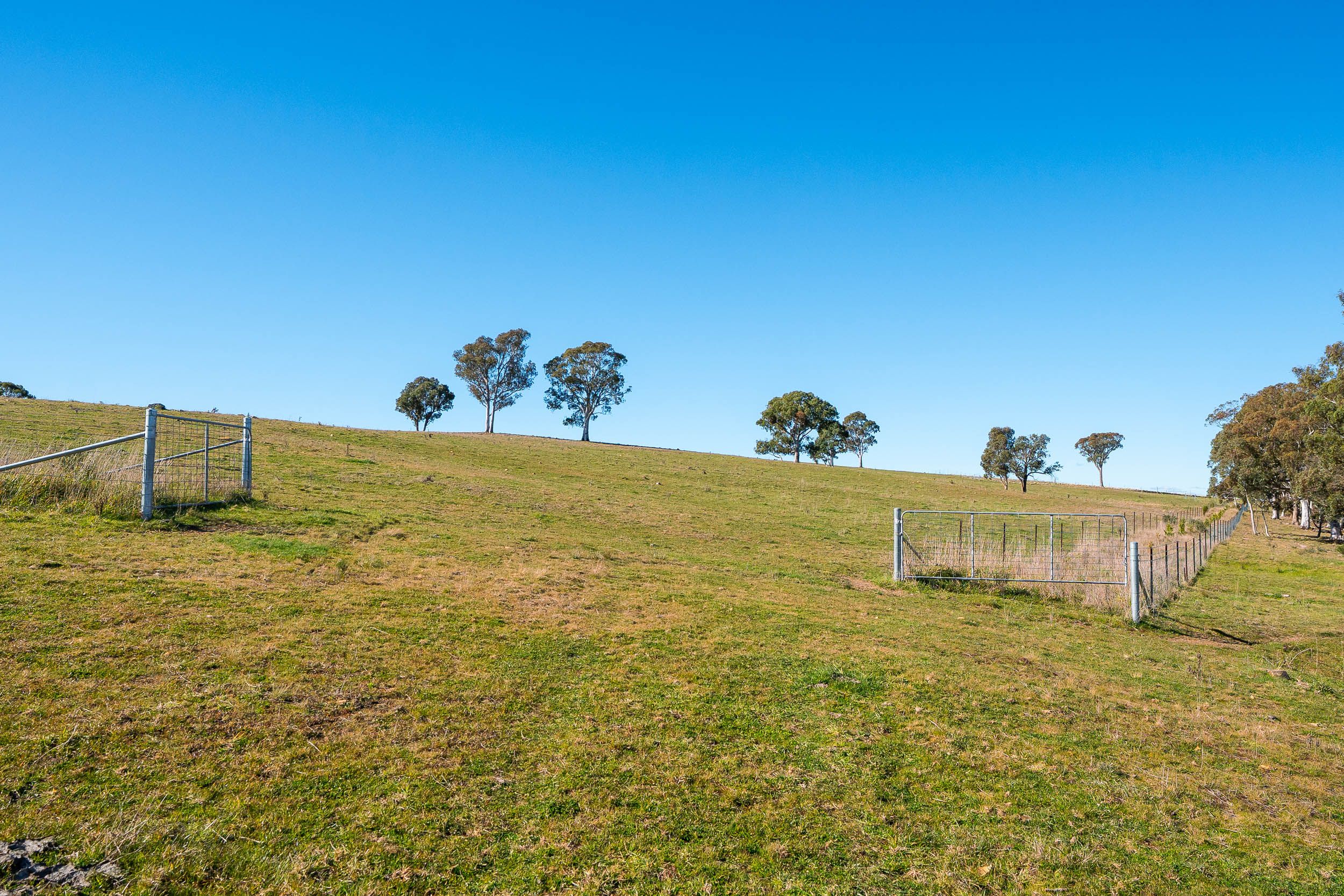 1706 Crookwell Road, Wayo via — photo 16 of 20