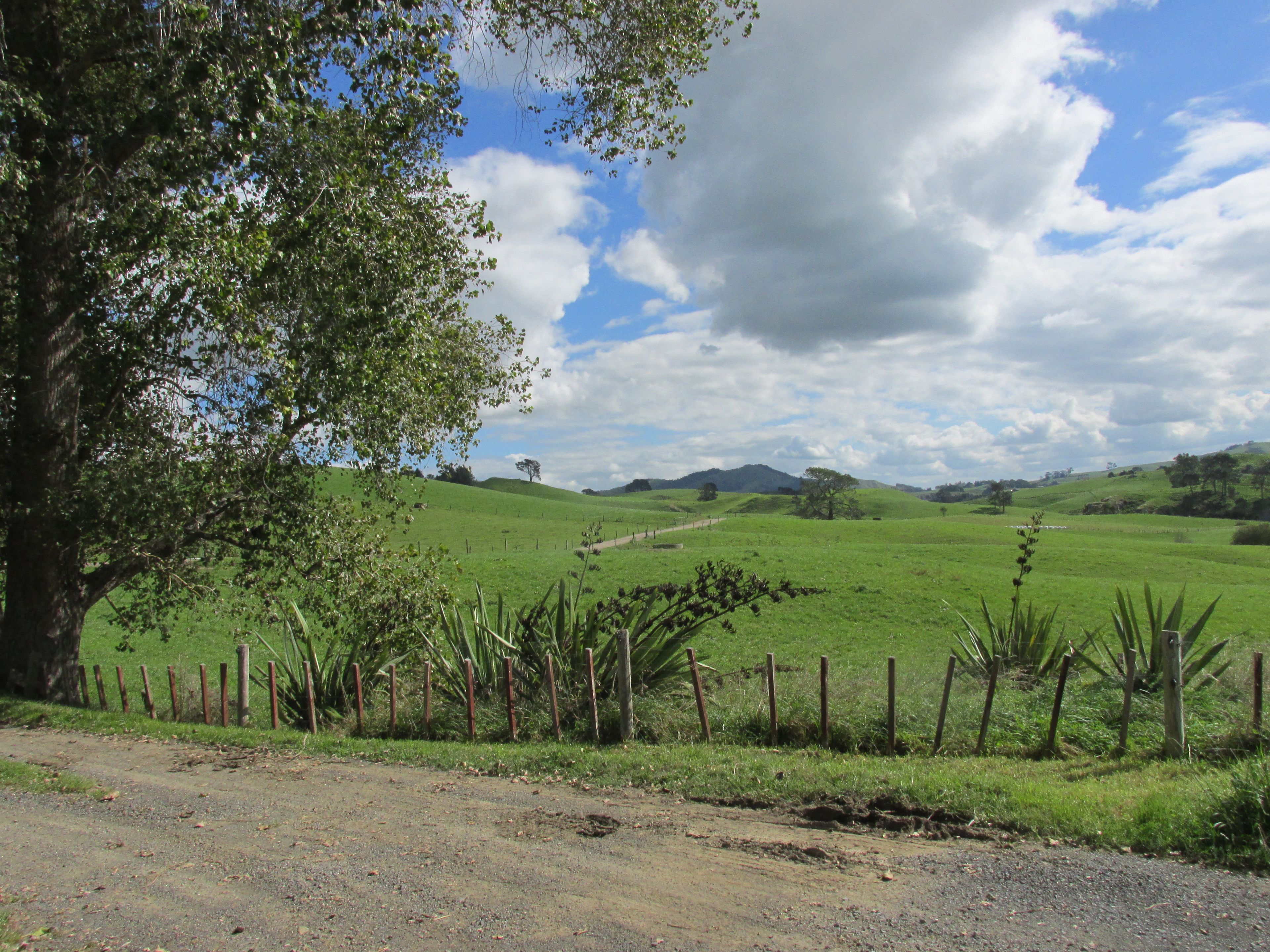 214 Whatauri Road, Te Awamutu, Waipa District