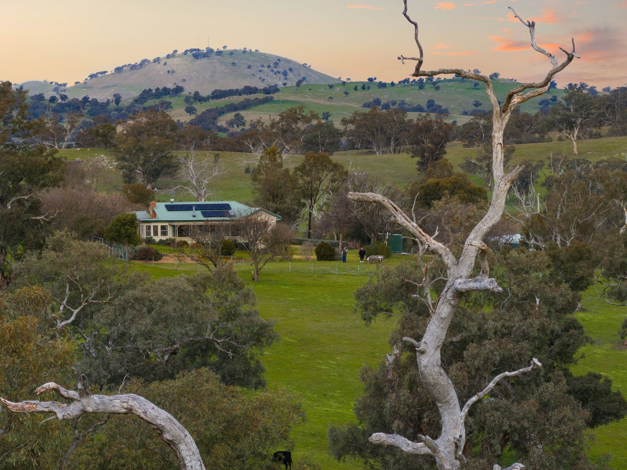 Ray White Rural & Livestock • 