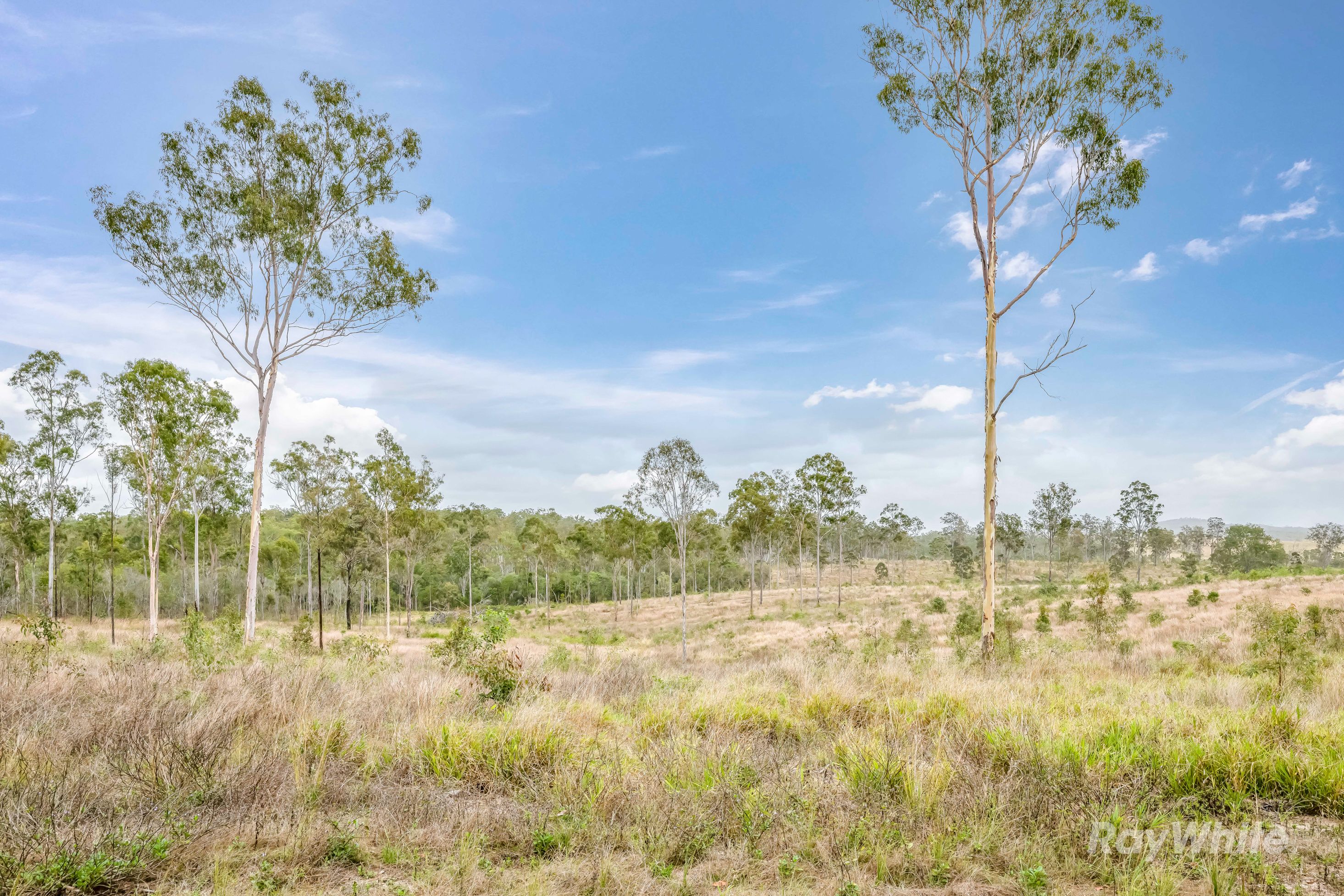 Lot 43 Moolyung Road — photo 4 of 29