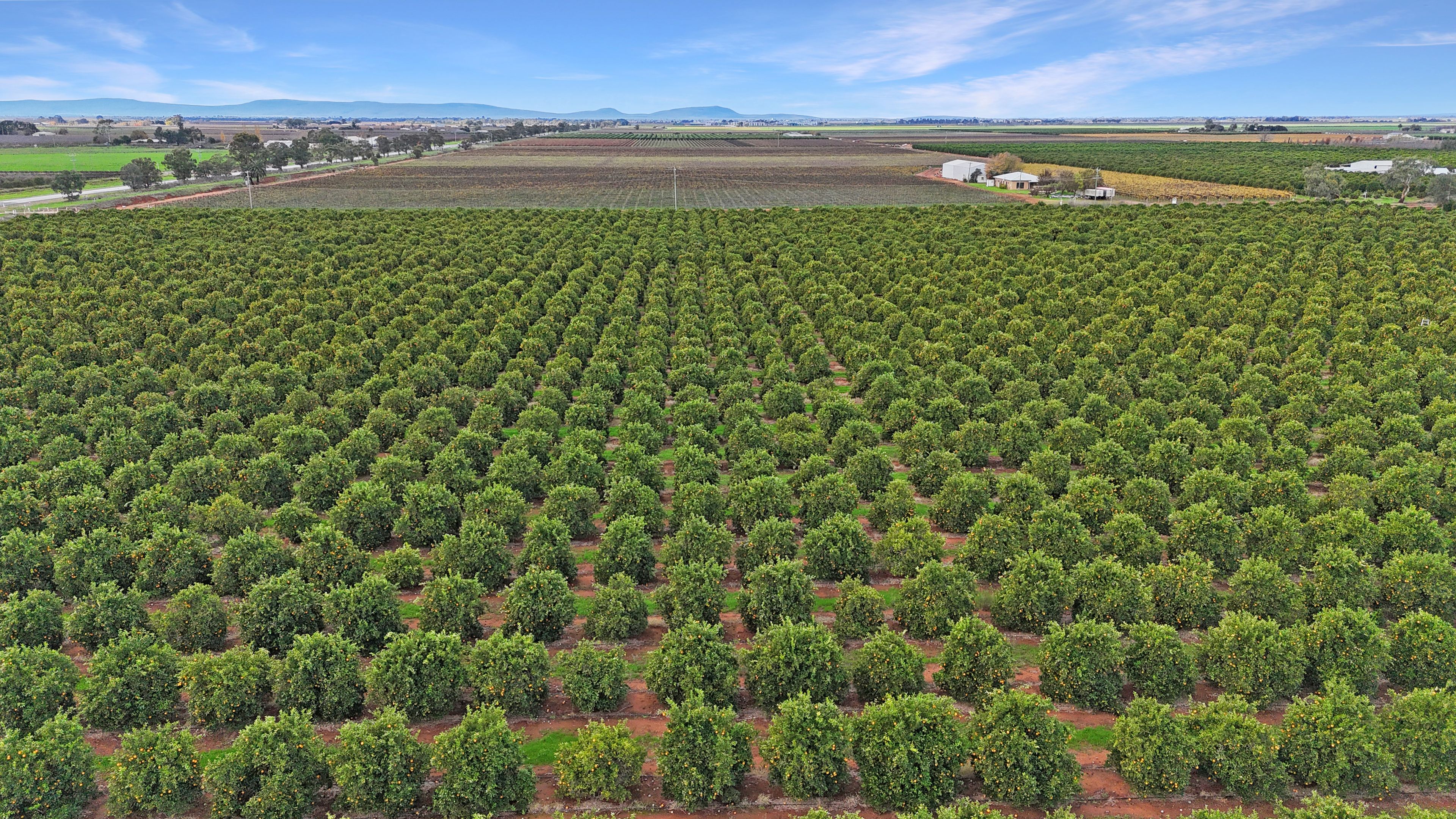 Farm 253/29 Ross Road — photo 20 of 29