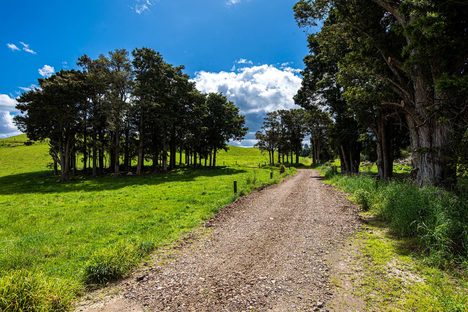 Lot 3 Hukerenui Road photo 4