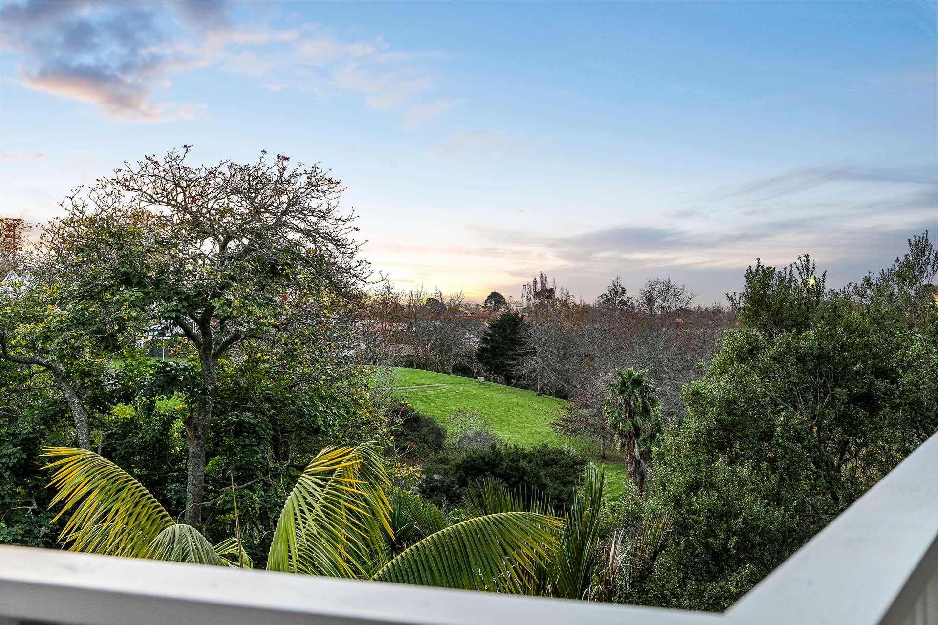 20A Orakei Road photo 19