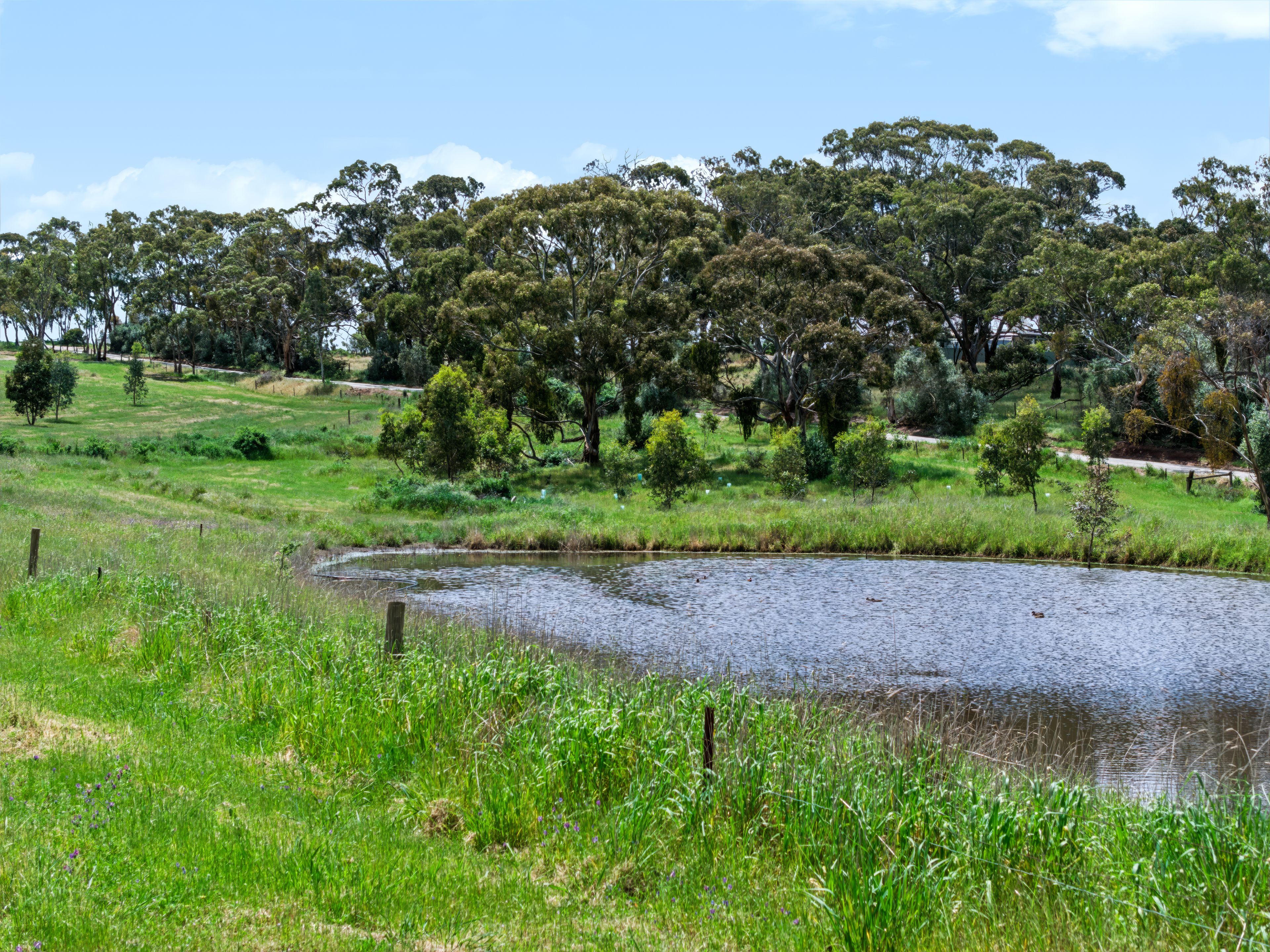 Lot 6 Sollys Hill Road — photo 3 of 7