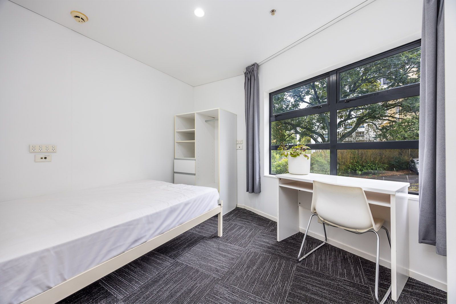 3H/30 Symonds Street, Grafton, Auckland City