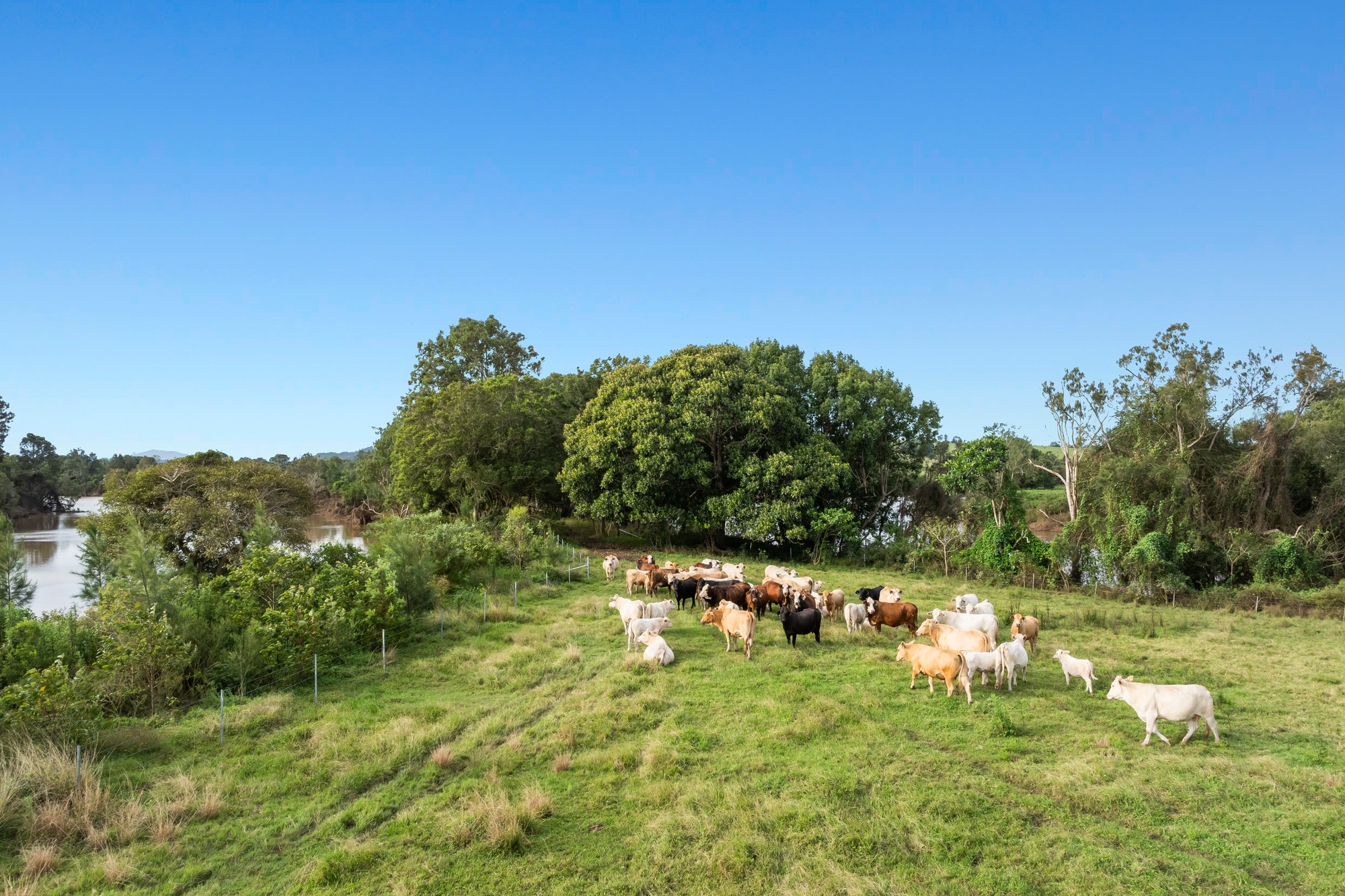 279 River Bank Road, Wyrallah, NSW 2480